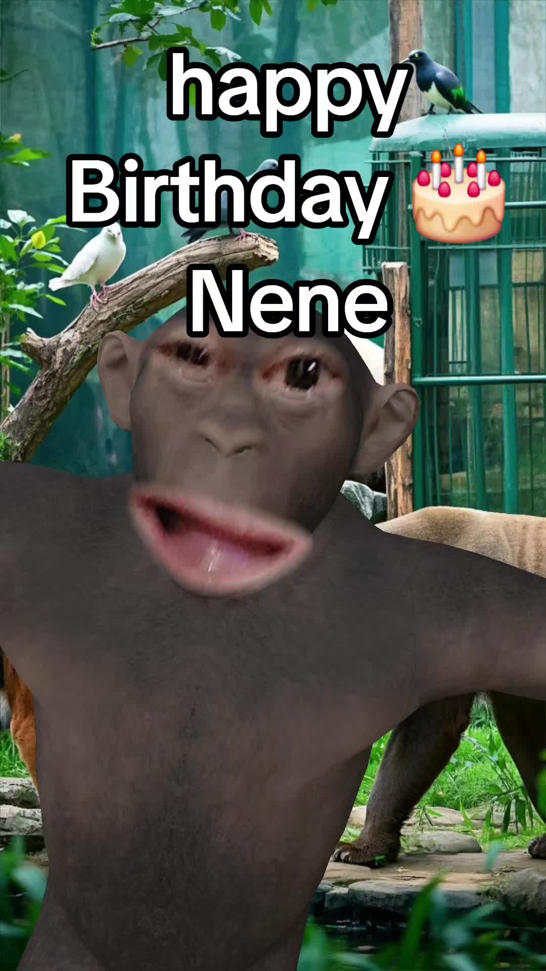 @bufordoverland 2