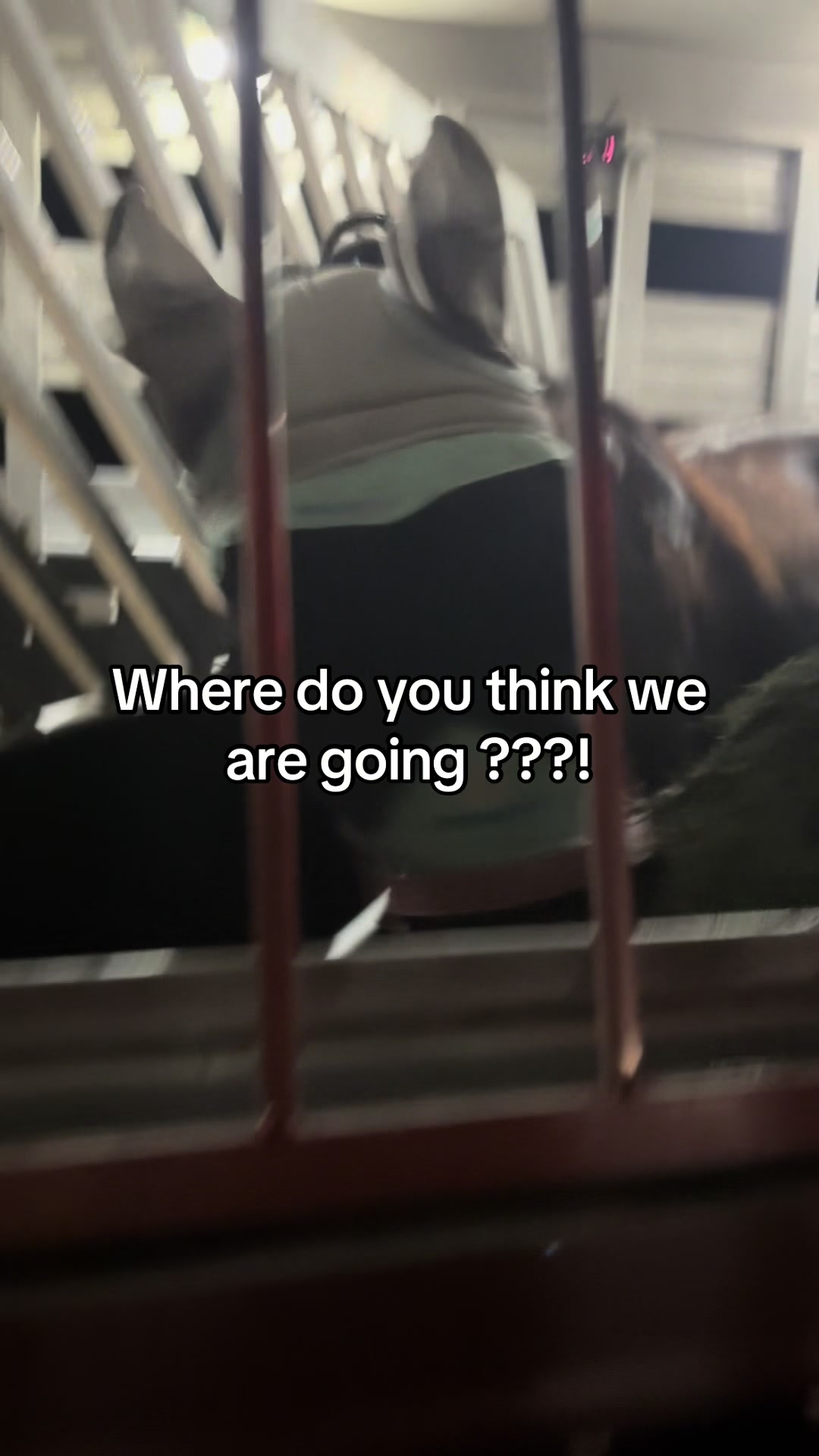 @itiswellstables