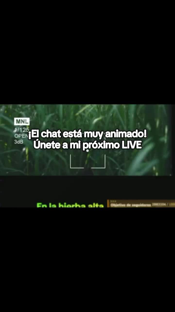 @Cuentos de Terror