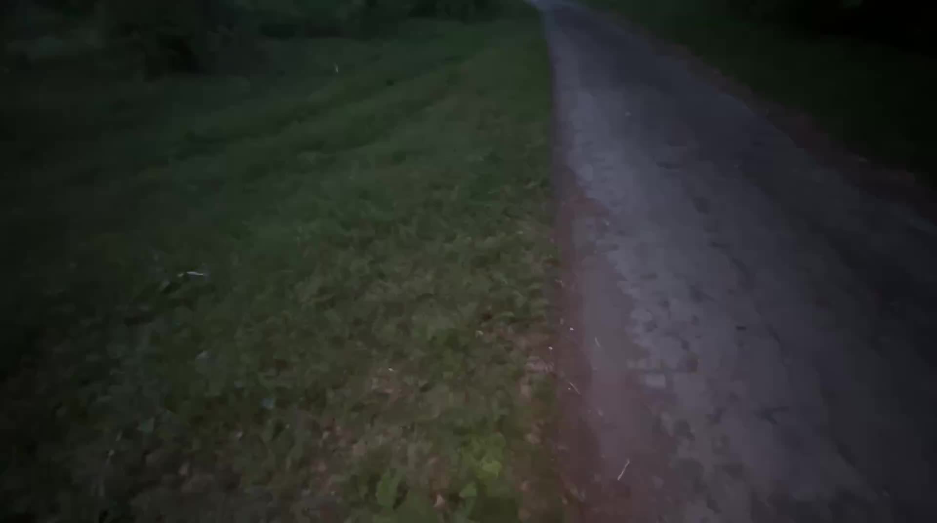 @ПоZыVнOй "СТУДЕНТ"