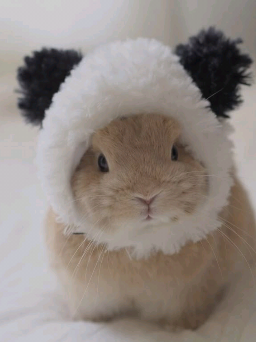 @belen🐇🧁🫧