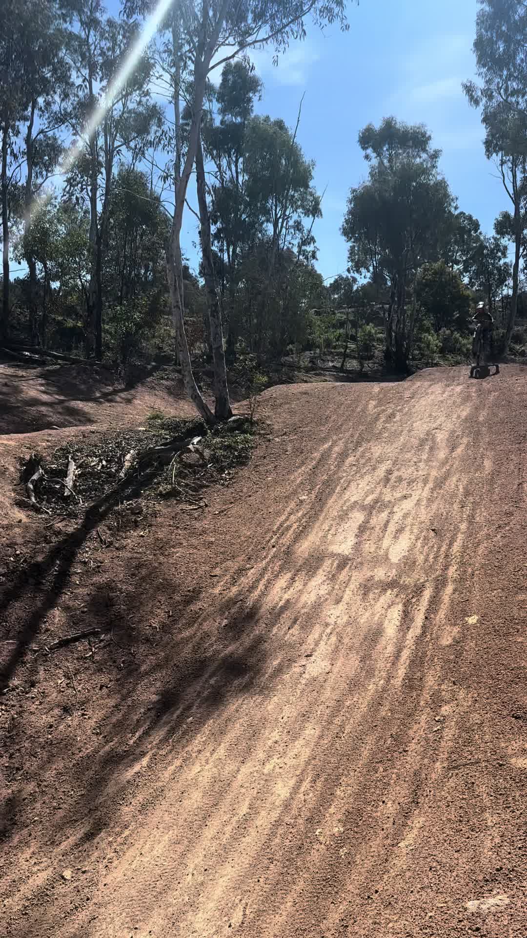 @Stewart.115