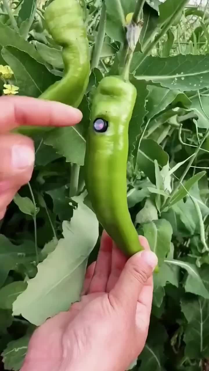 @bengoodthing11