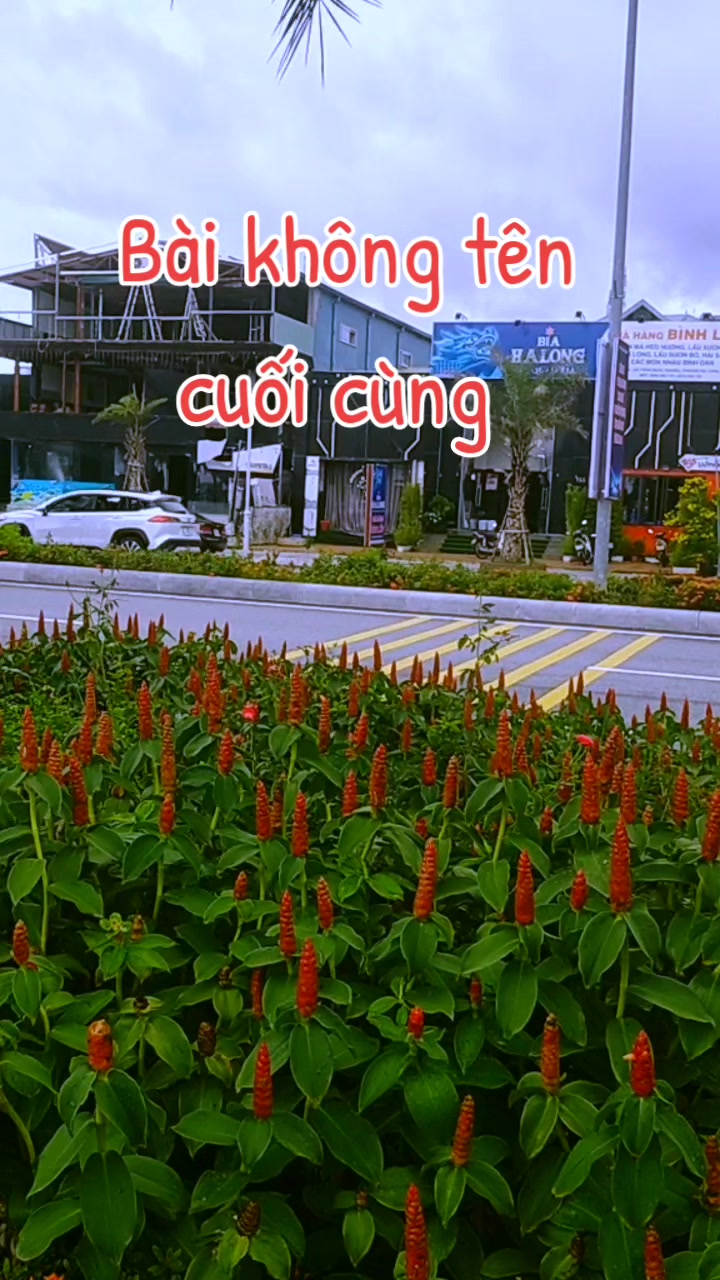 @Hưng 🐌 15