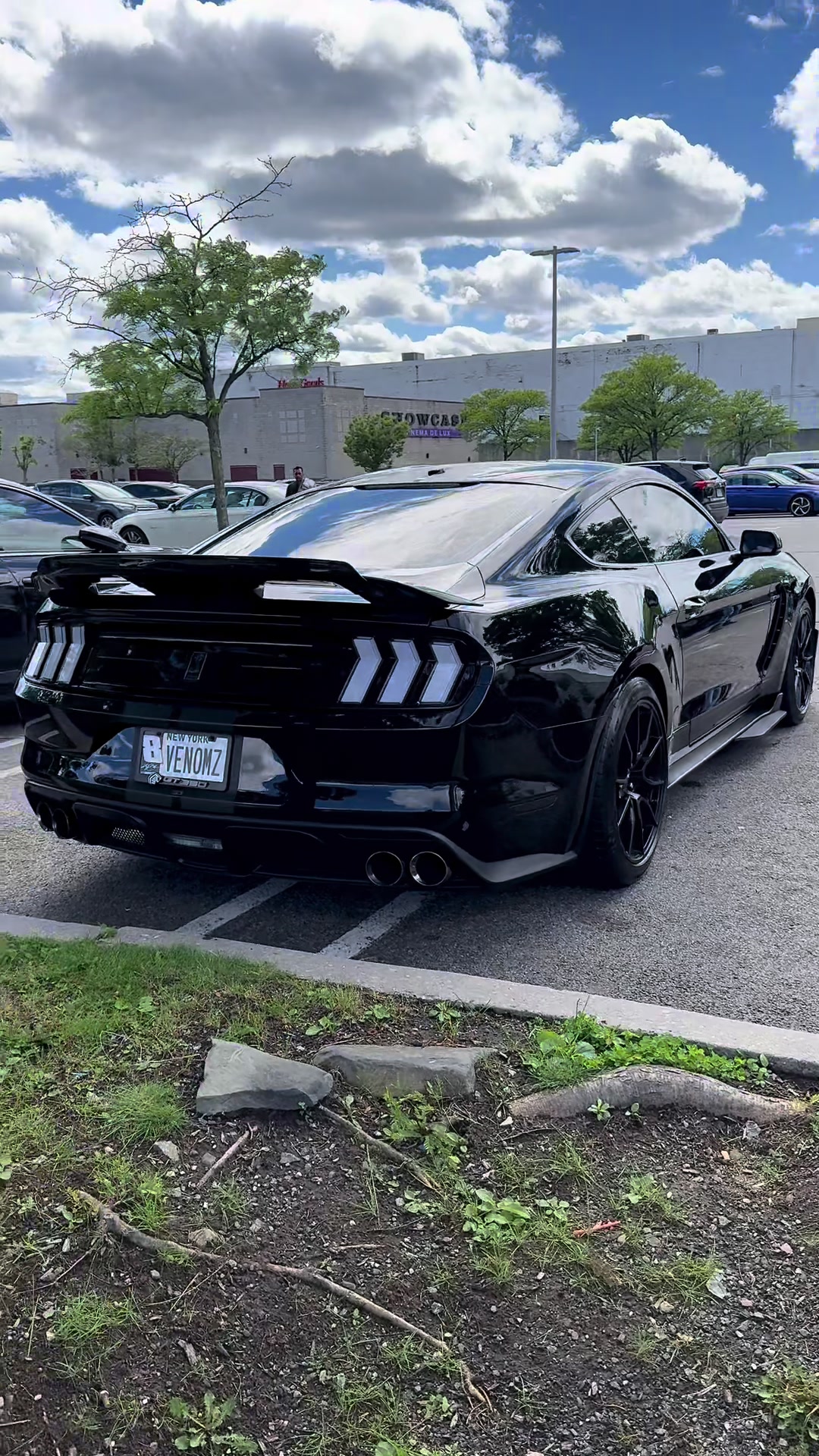 @Venomz