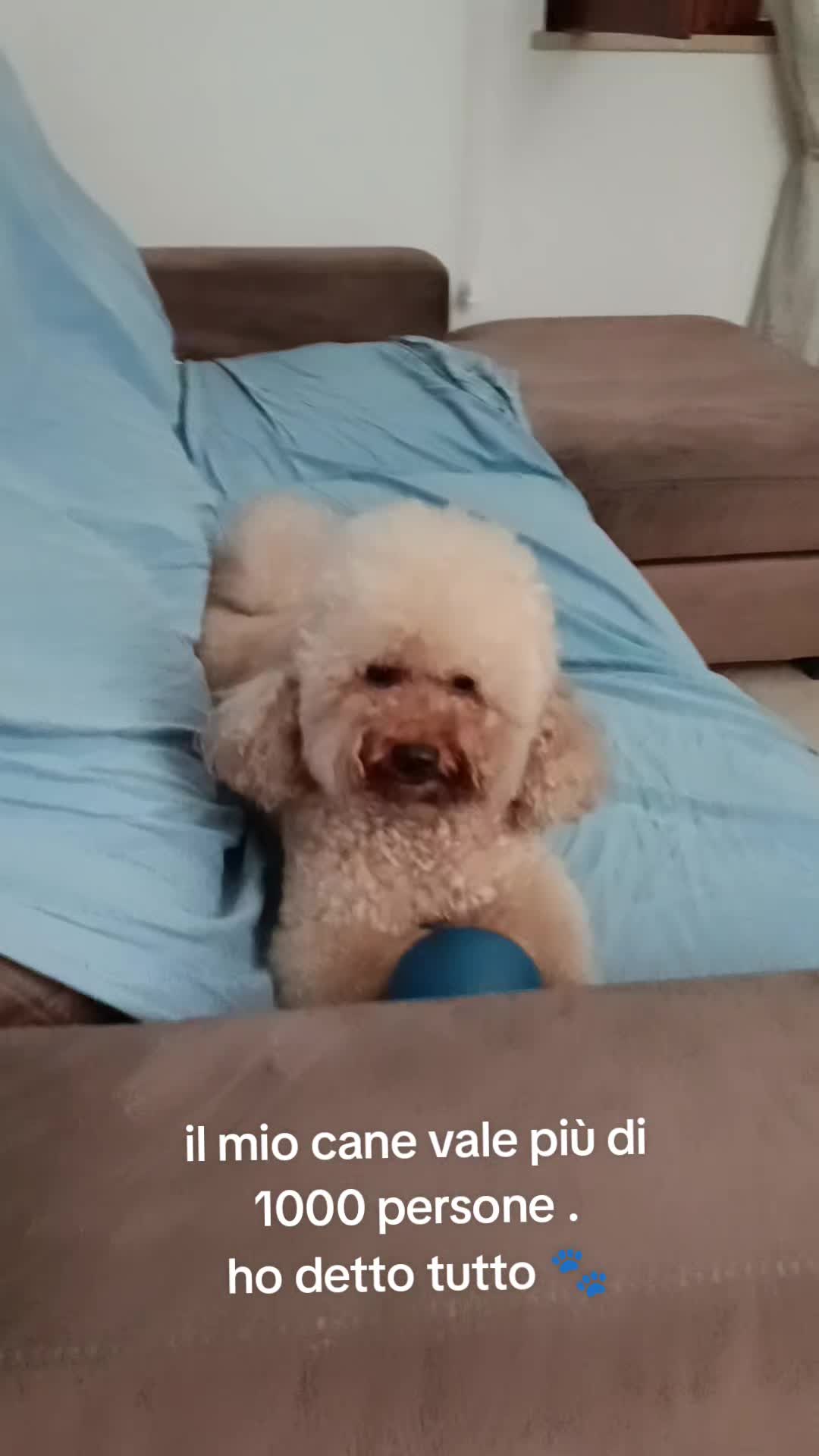 @Momenti Deliziosi