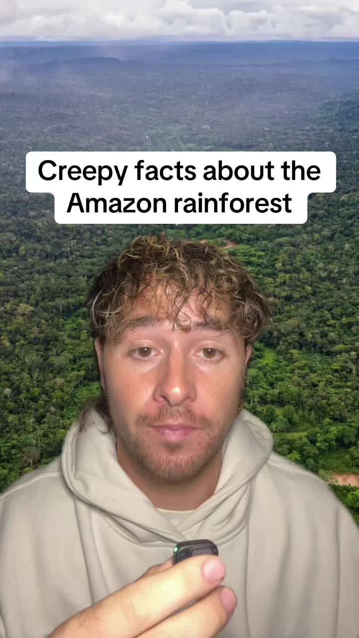 @Blayce