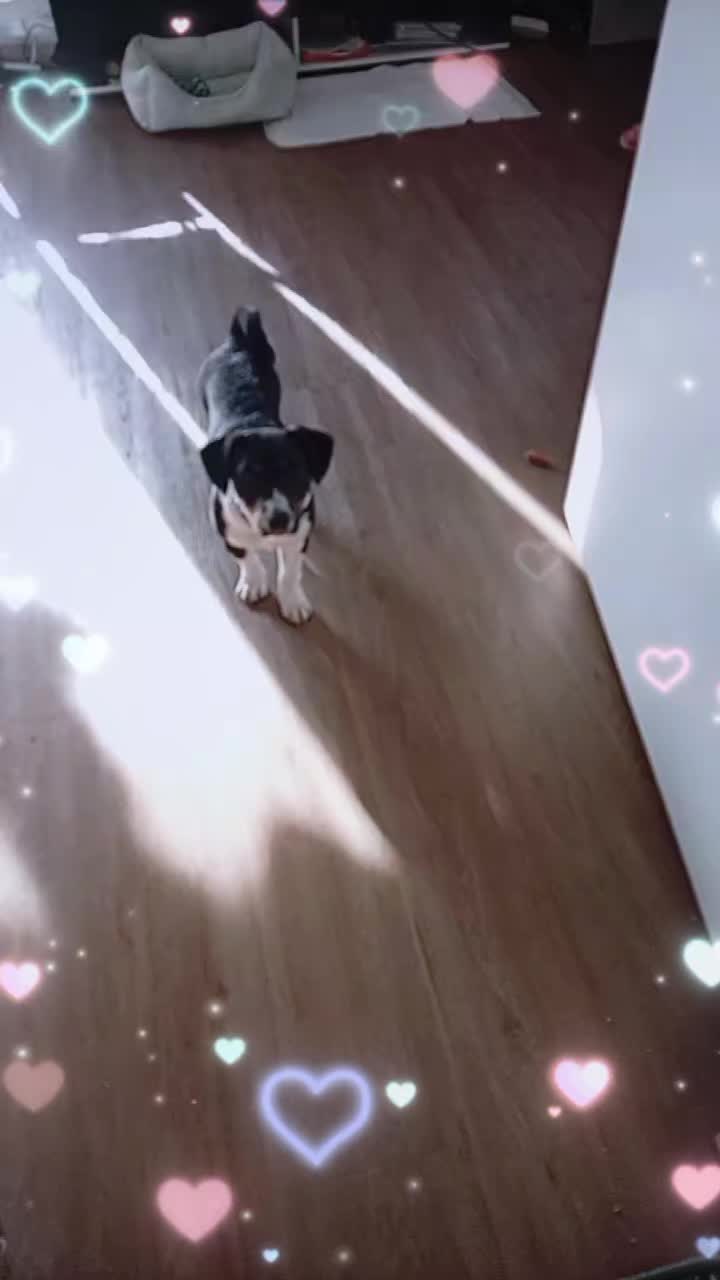 @Max&Christin für immer ILD❤️