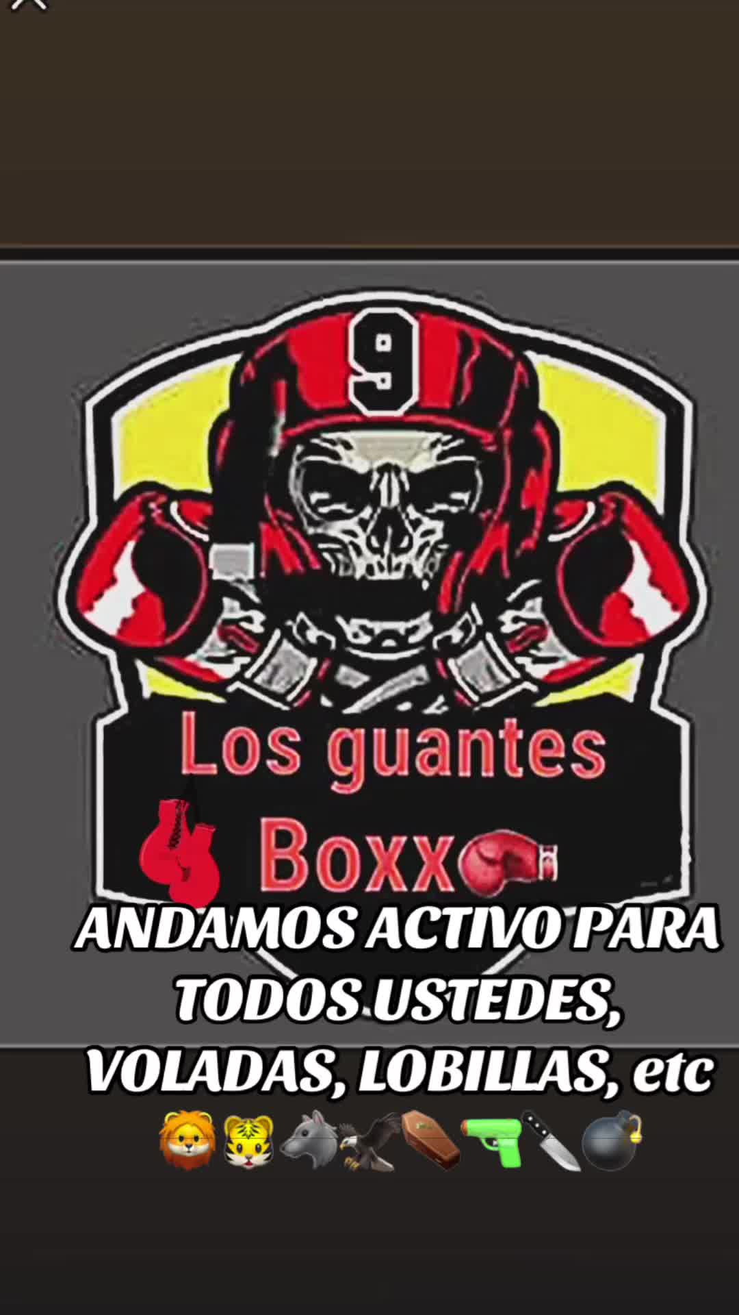 @LMDS🥊🫡