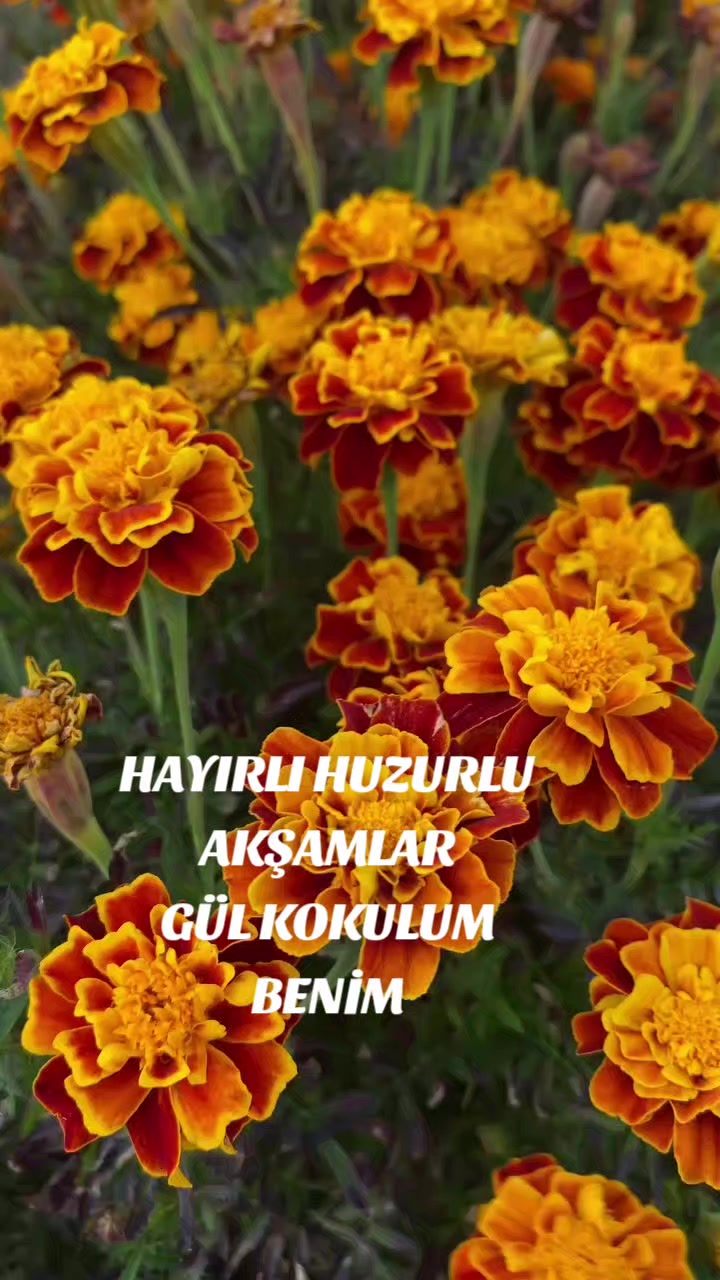 @Hasan Yılmaz