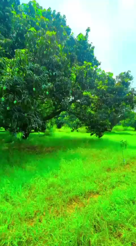@Sialkot سیالکوٹ آلہ🇵🇰