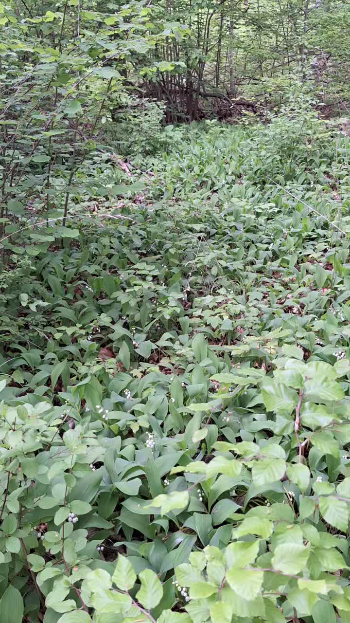 @Natur und Garten