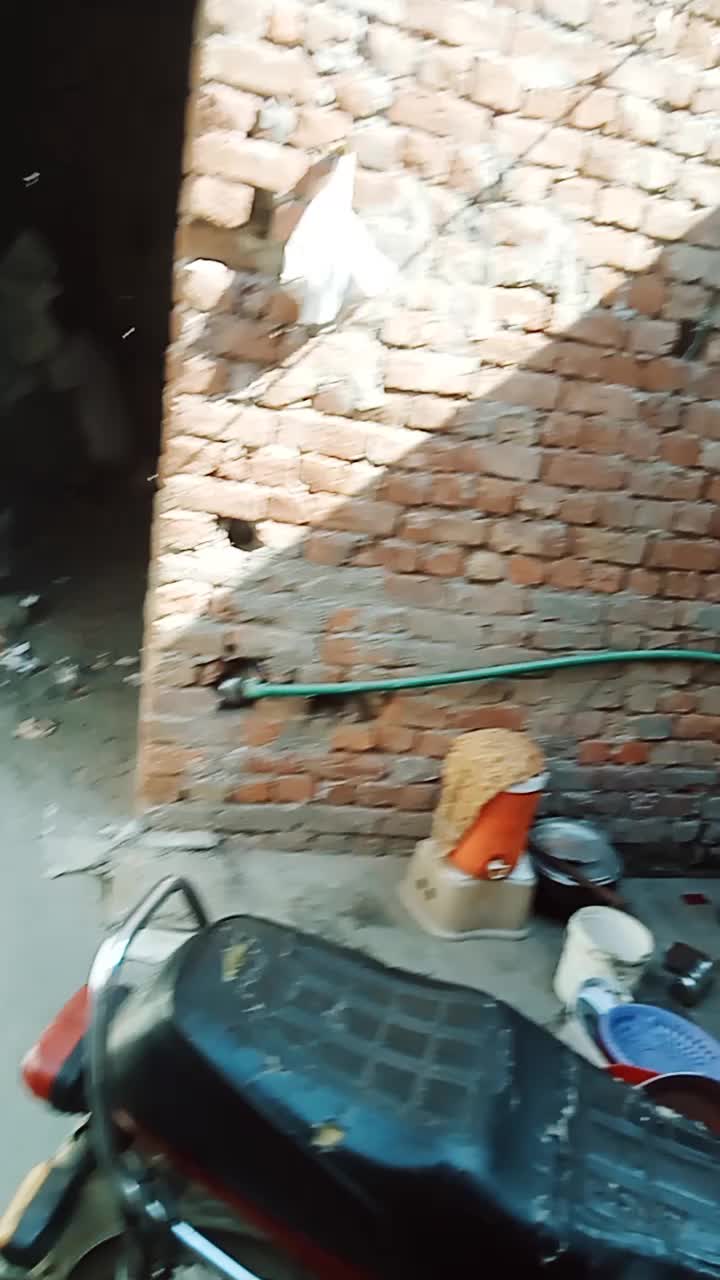 @Peja RAMBO 214