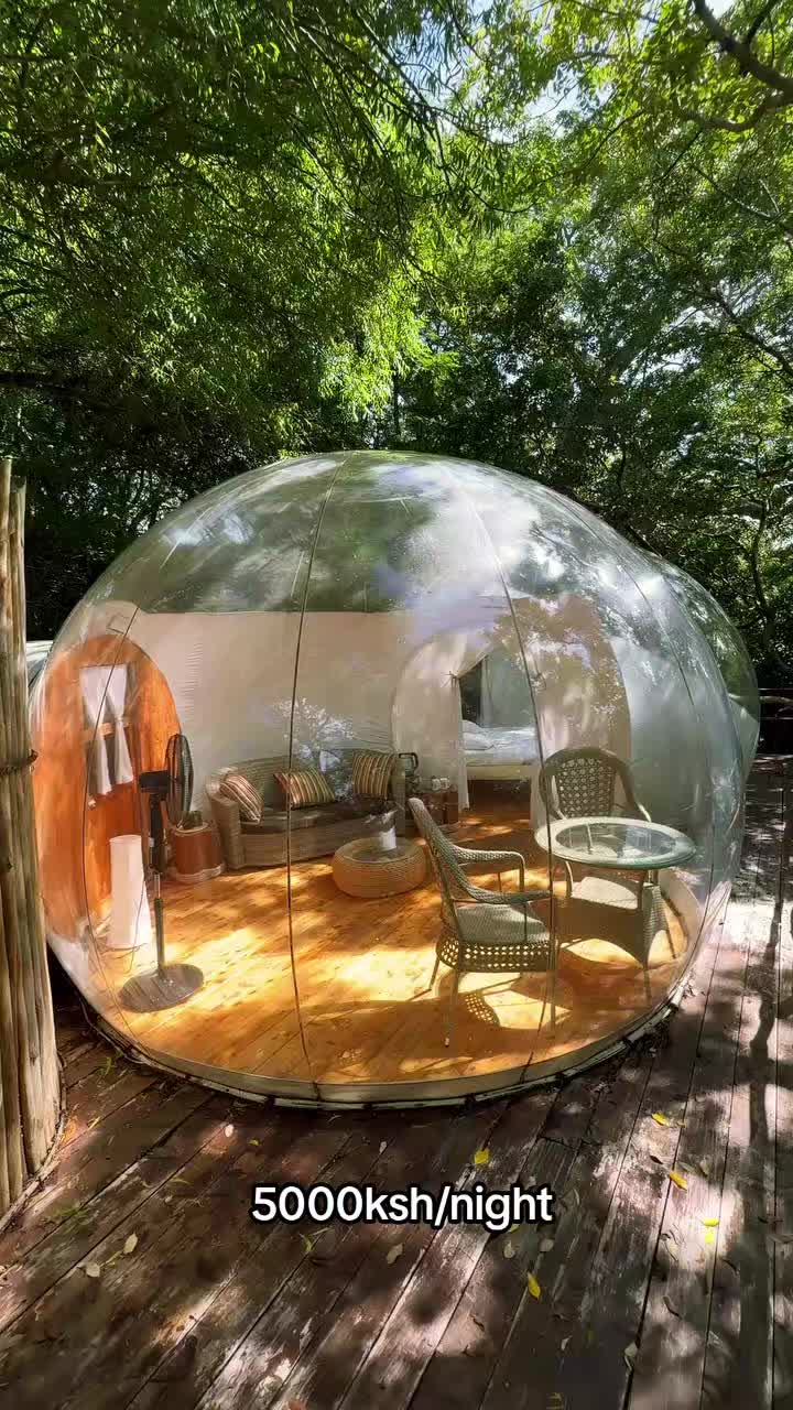 @SAFARI NEST