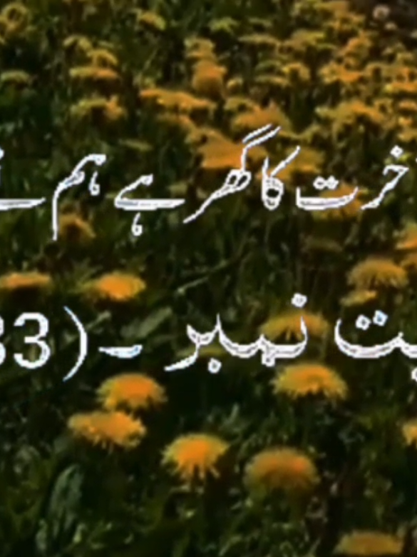 @❤️ALLAH Aalmin❤️