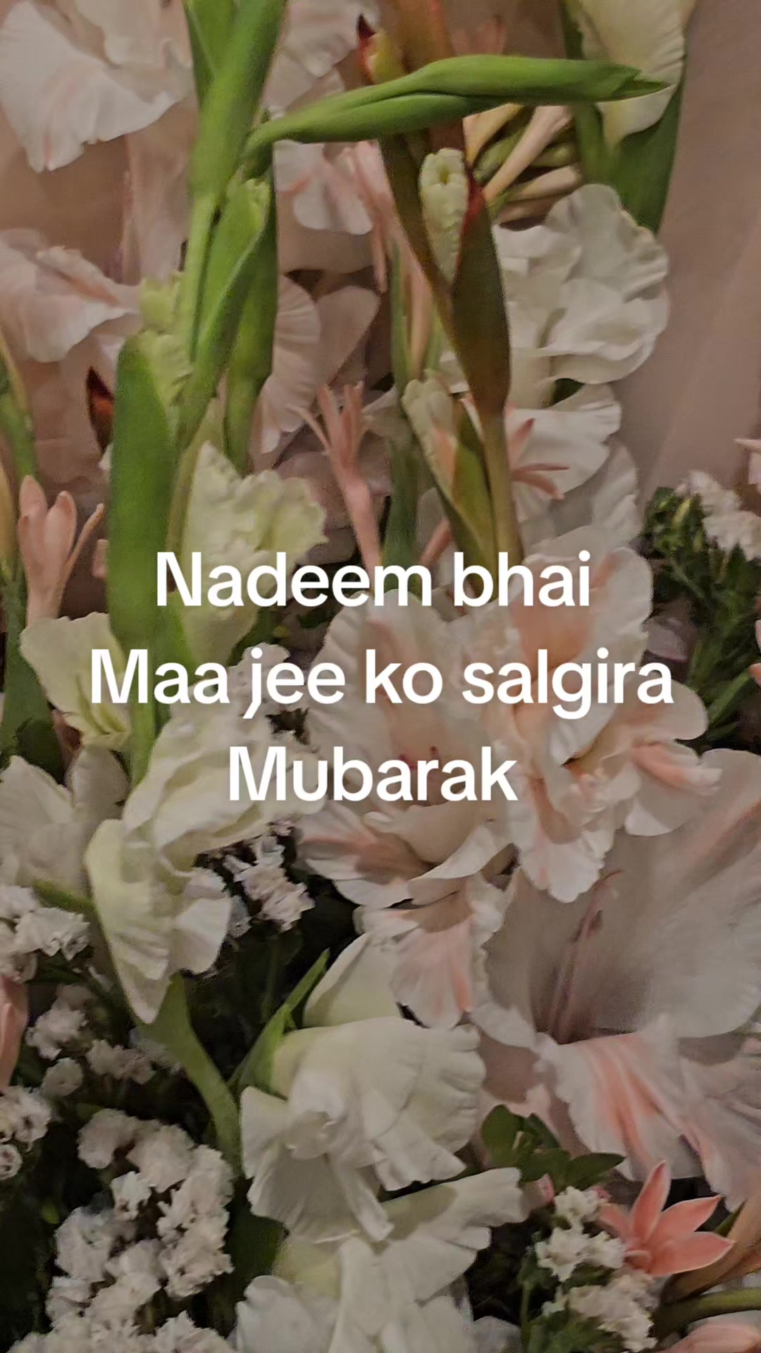 @Shamila Shad