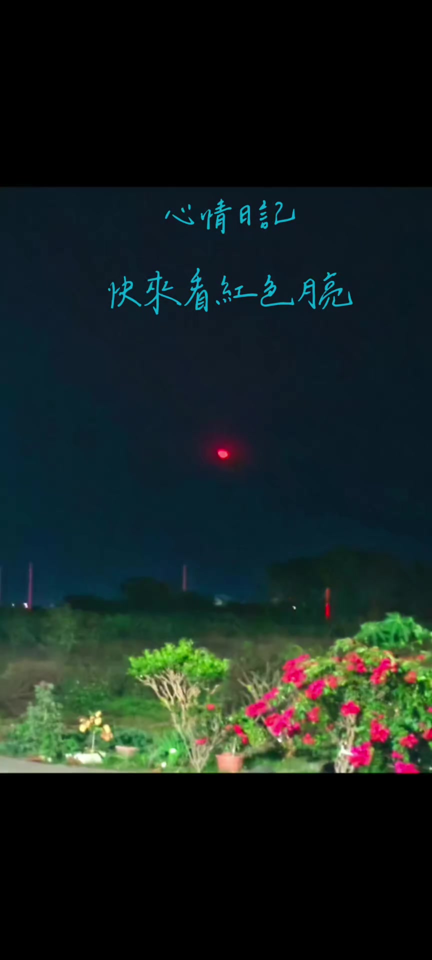 @曾國華(牛奶)