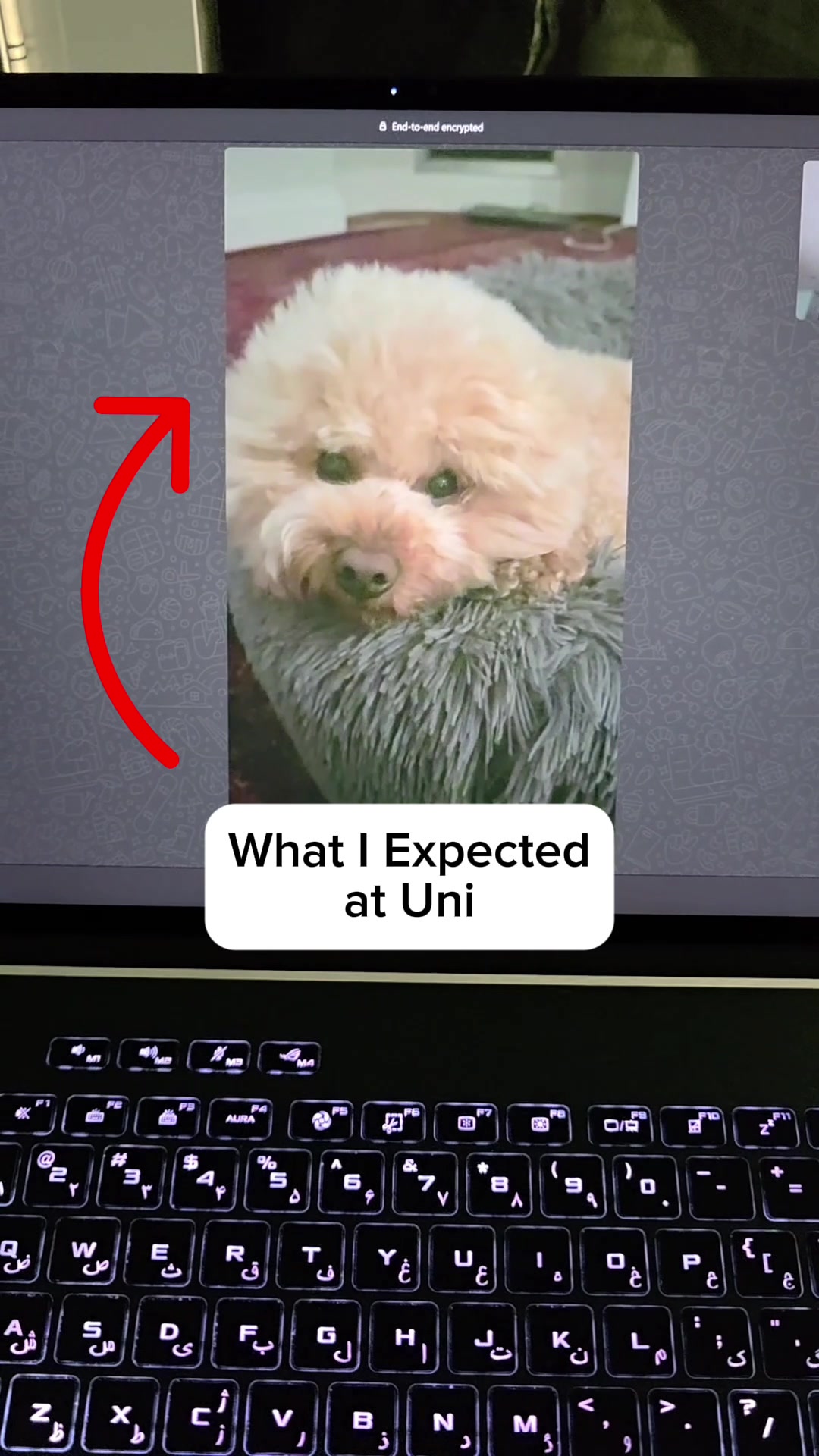 @RMITUP