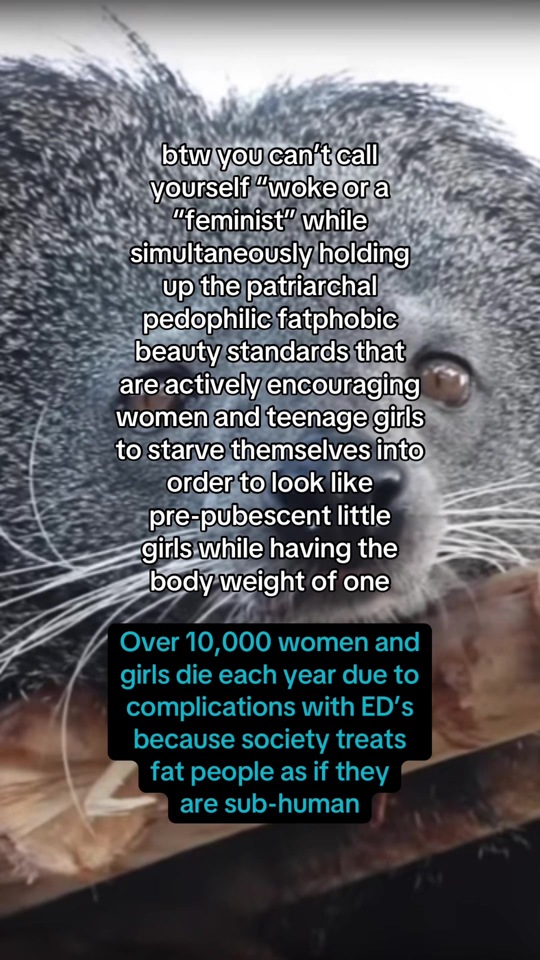 @nia 🧸ྀི☭