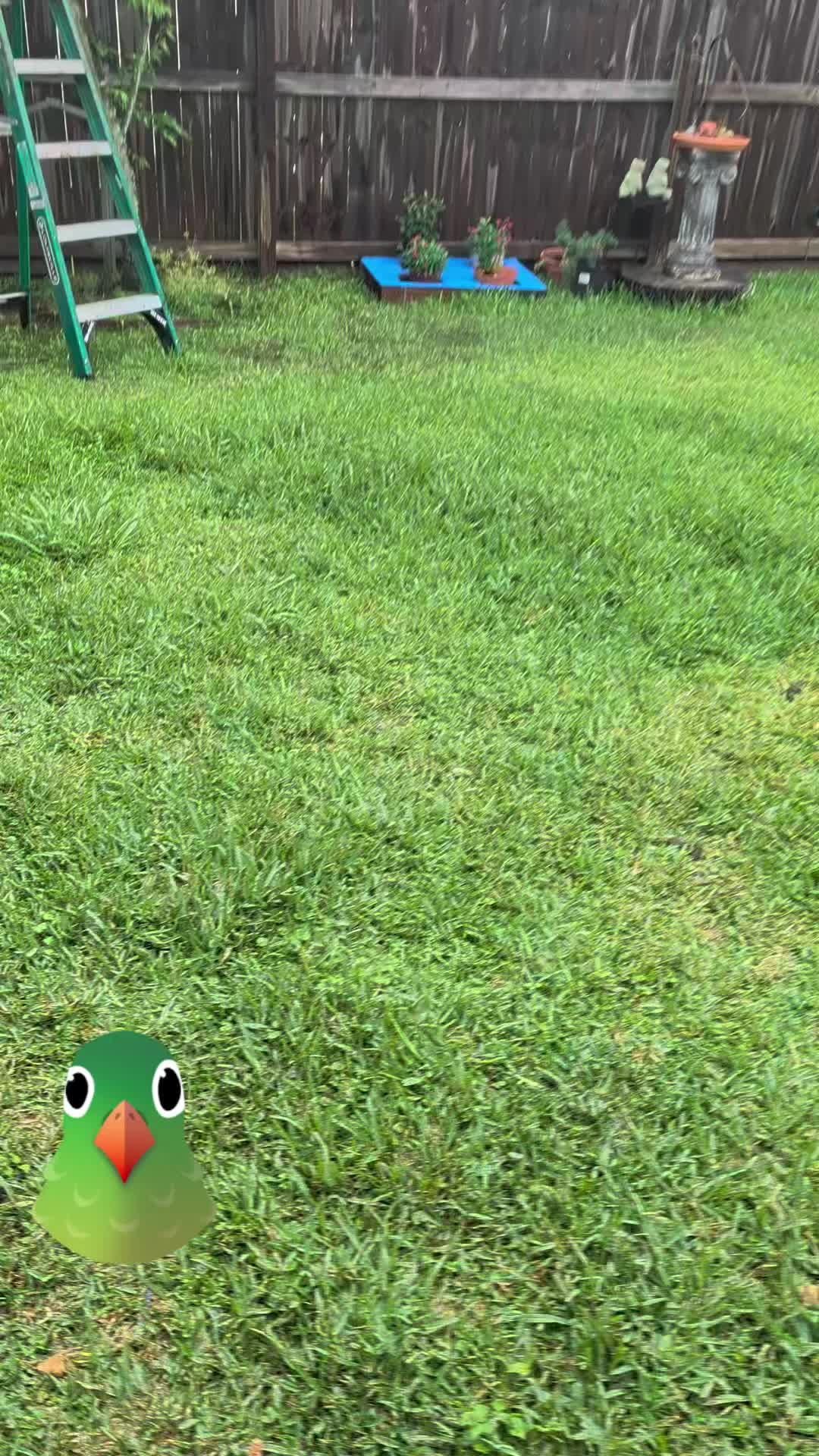 @Jplay