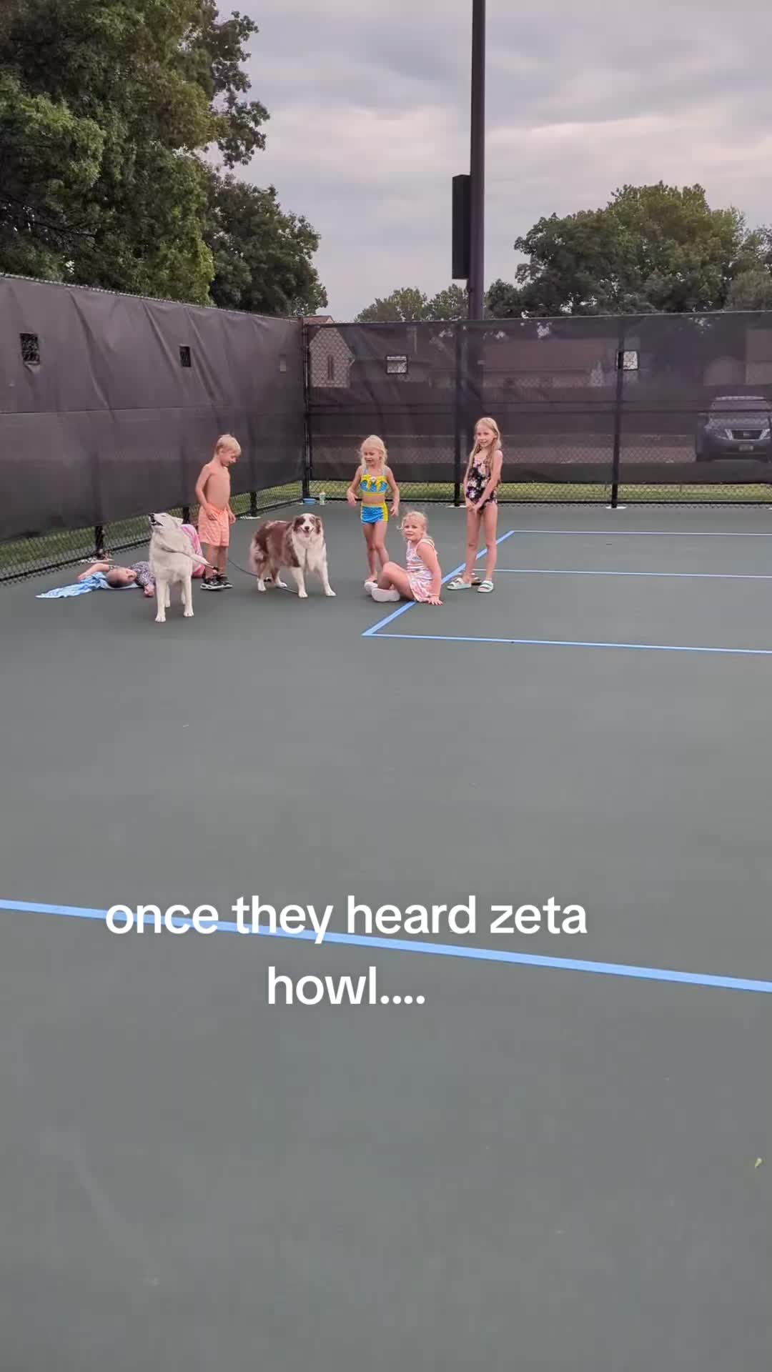 @Lizzy and Zeta