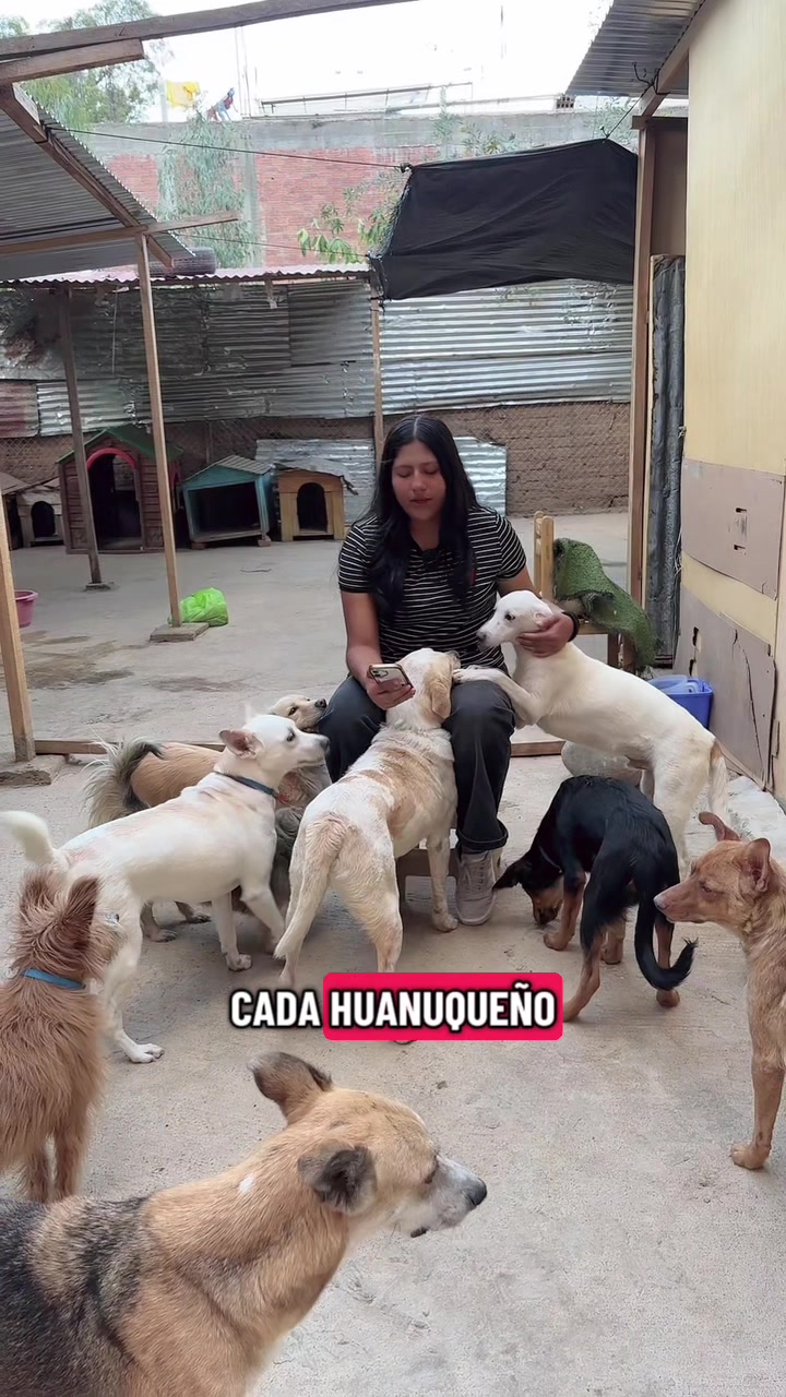 @Cómplices al rescate_11🐾