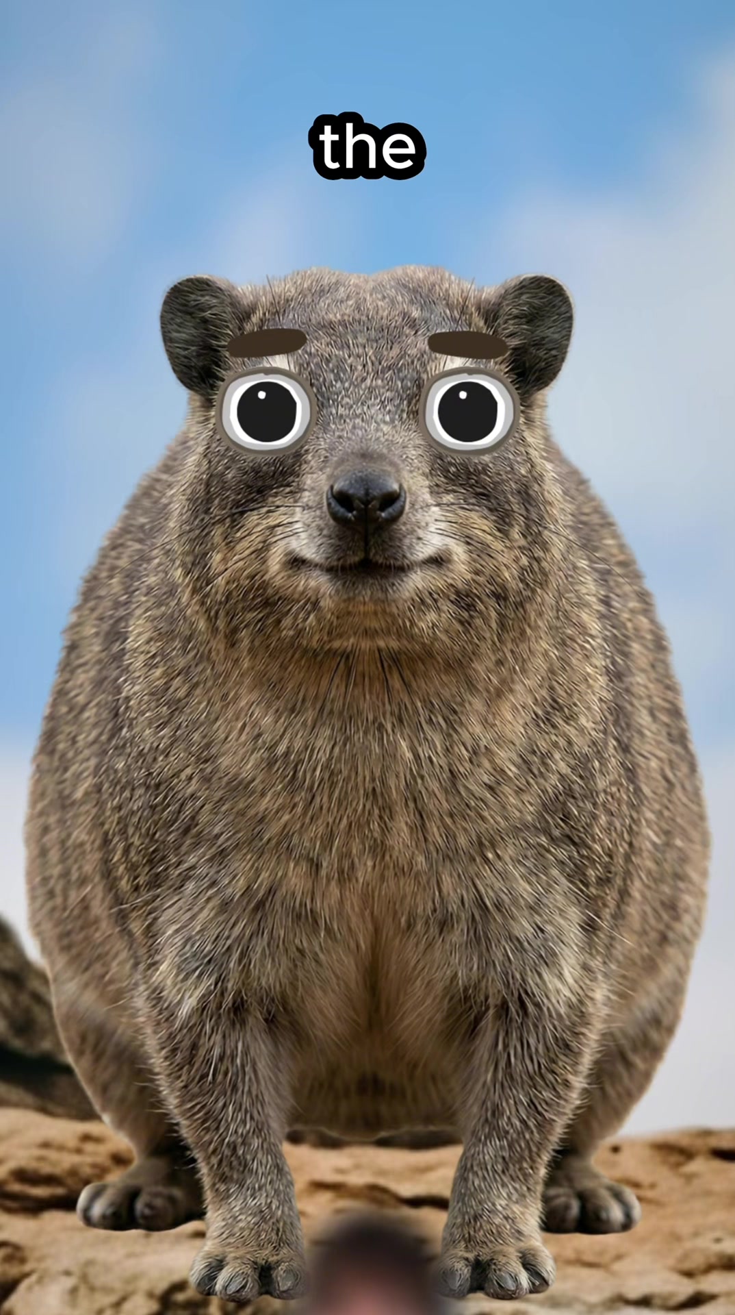 @HoodieGuy