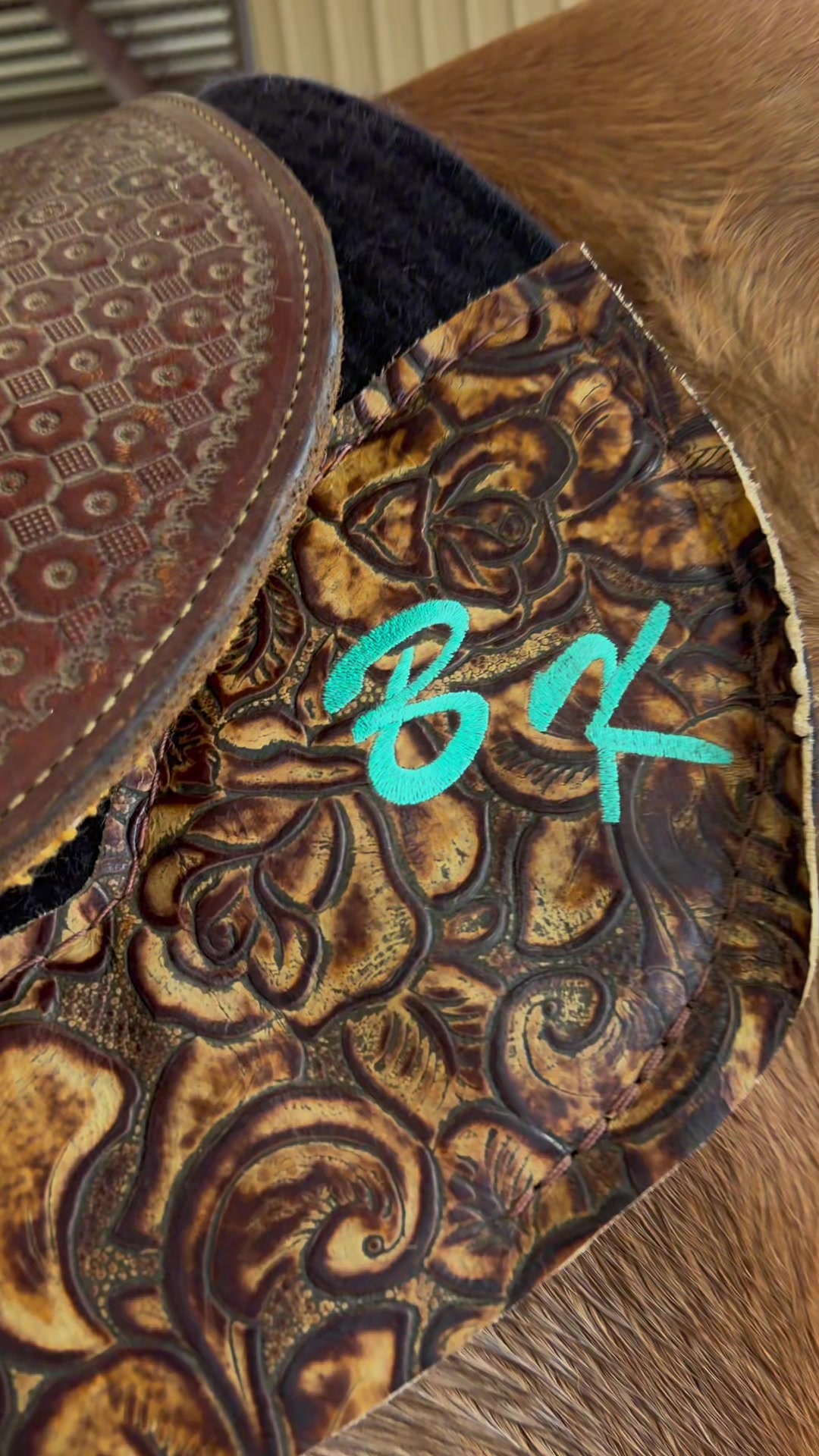 @5 Star Equine