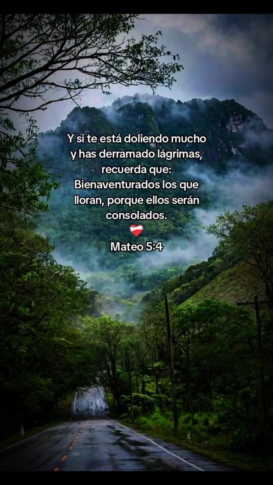 @🇹🇷✨Erika_Dubón🇵🇹💖