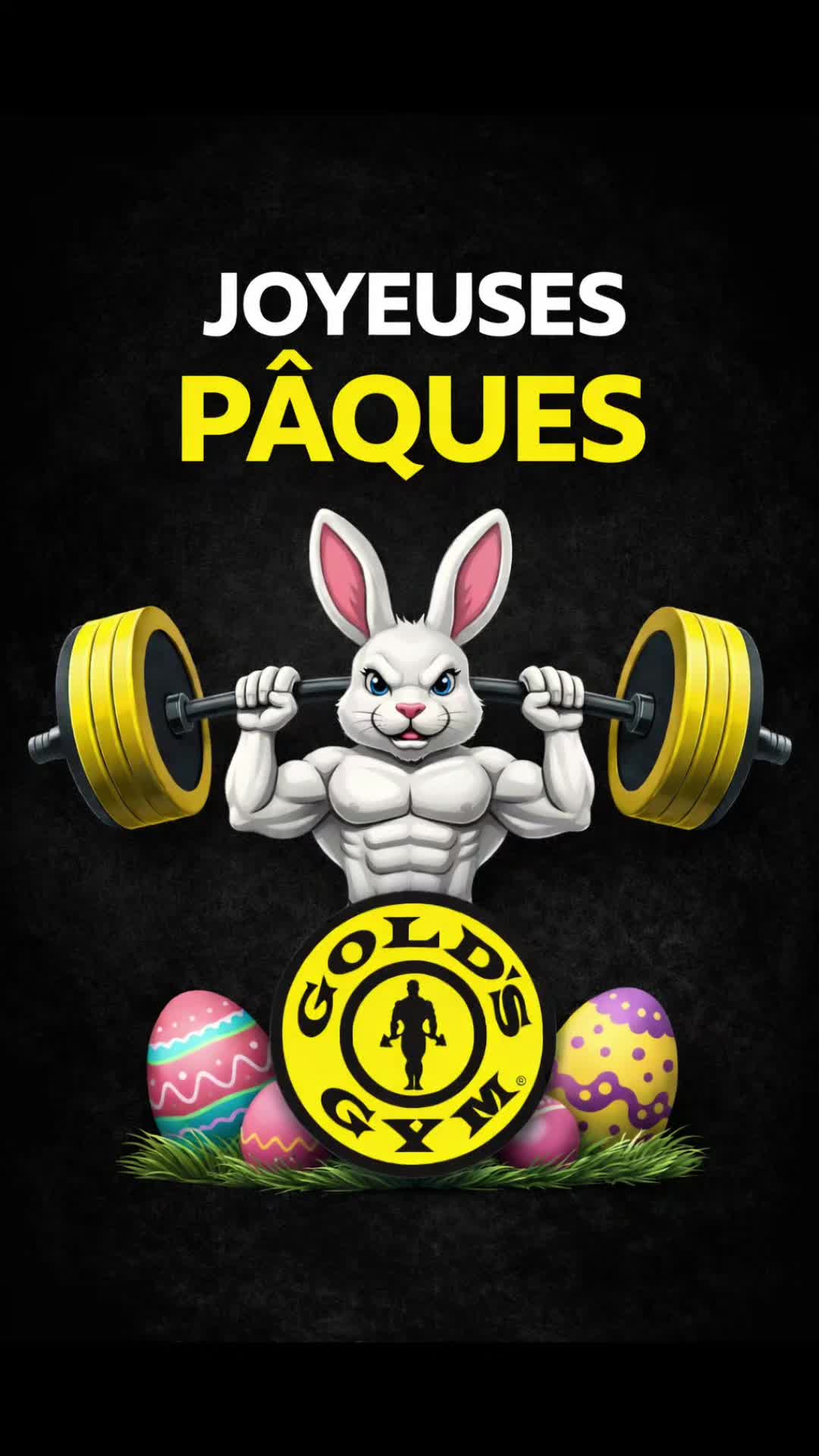 @Gold's Gym Qu&eacute;bec