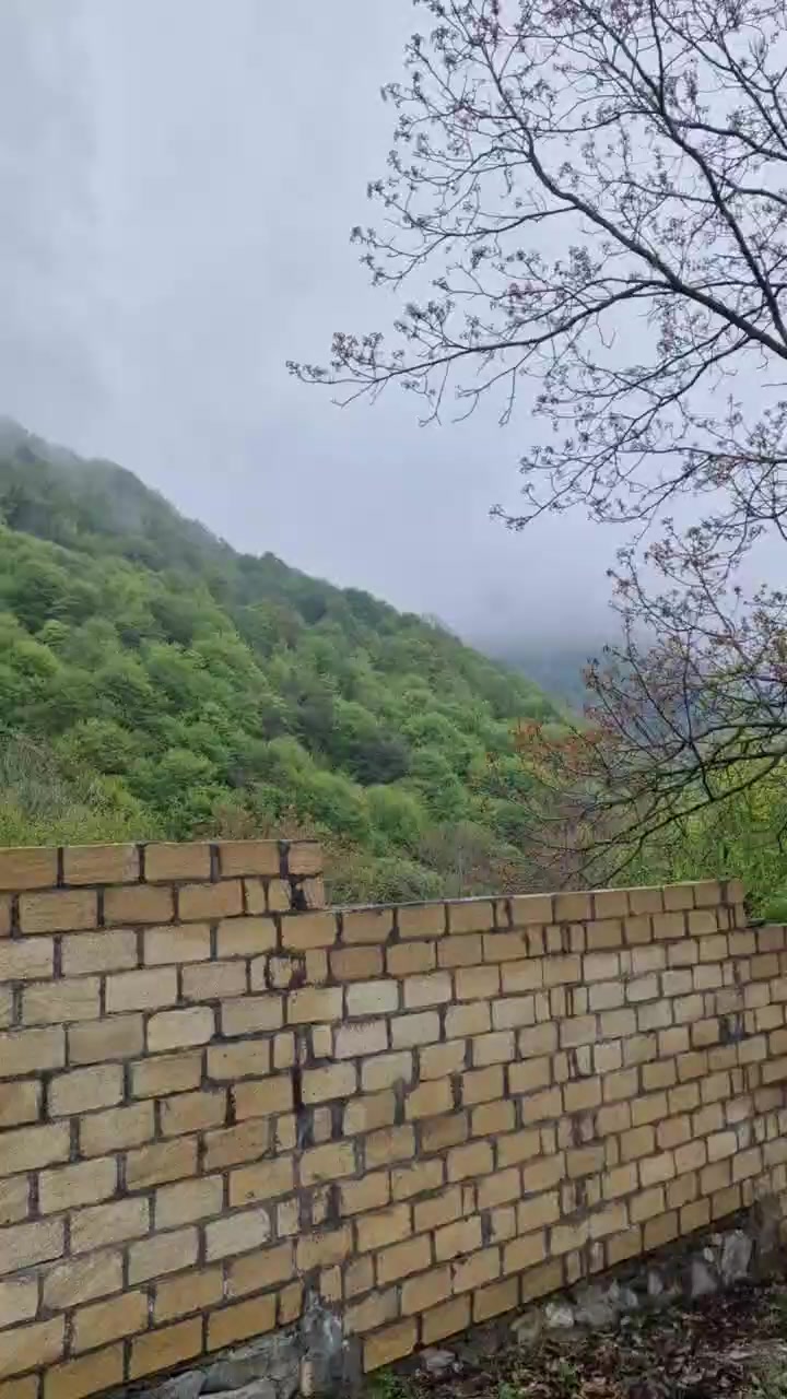 @Torpaq.Əmlak.QƏBƏLƏ