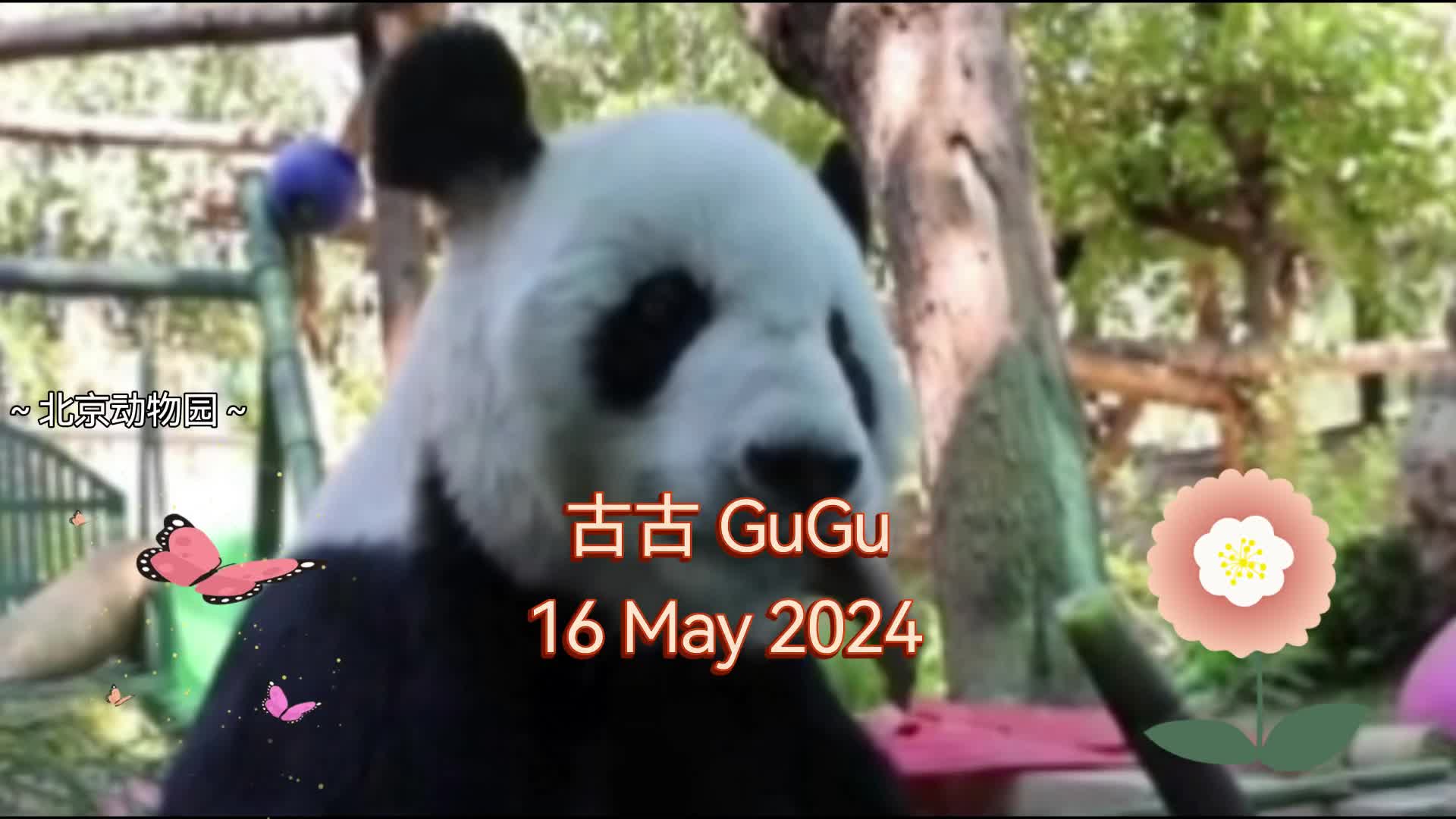 @絲祤🐒⁰⁴⁰³