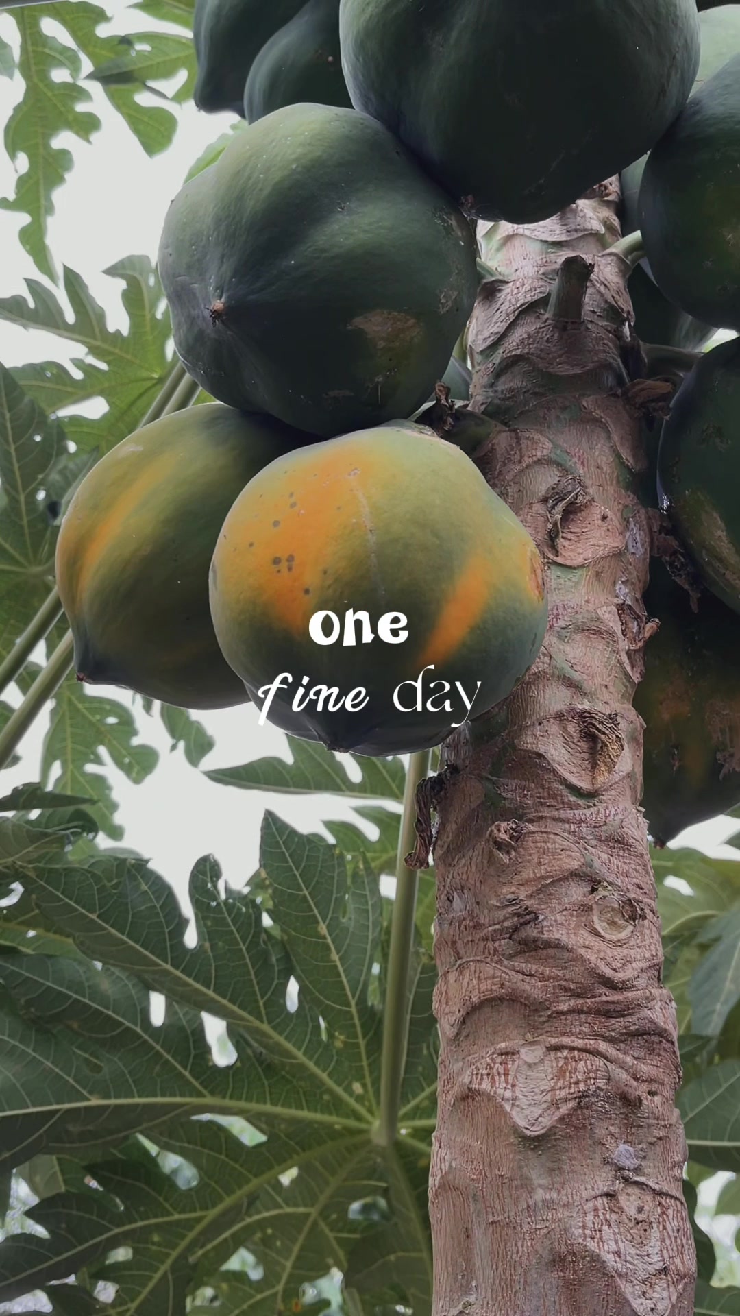 @𝓐𝓹𝓻𝓲𝓵
