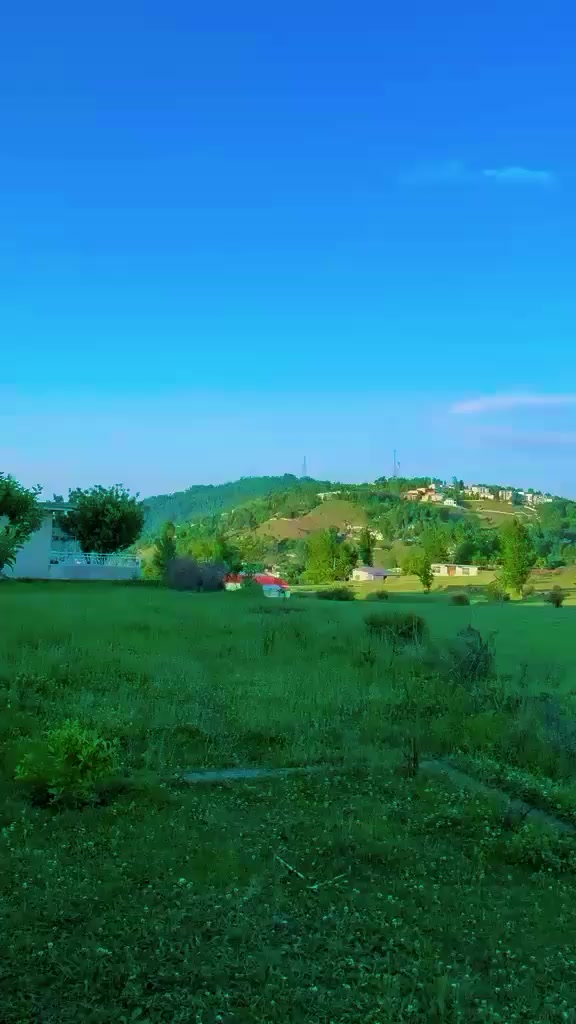 @SabaAbbasi