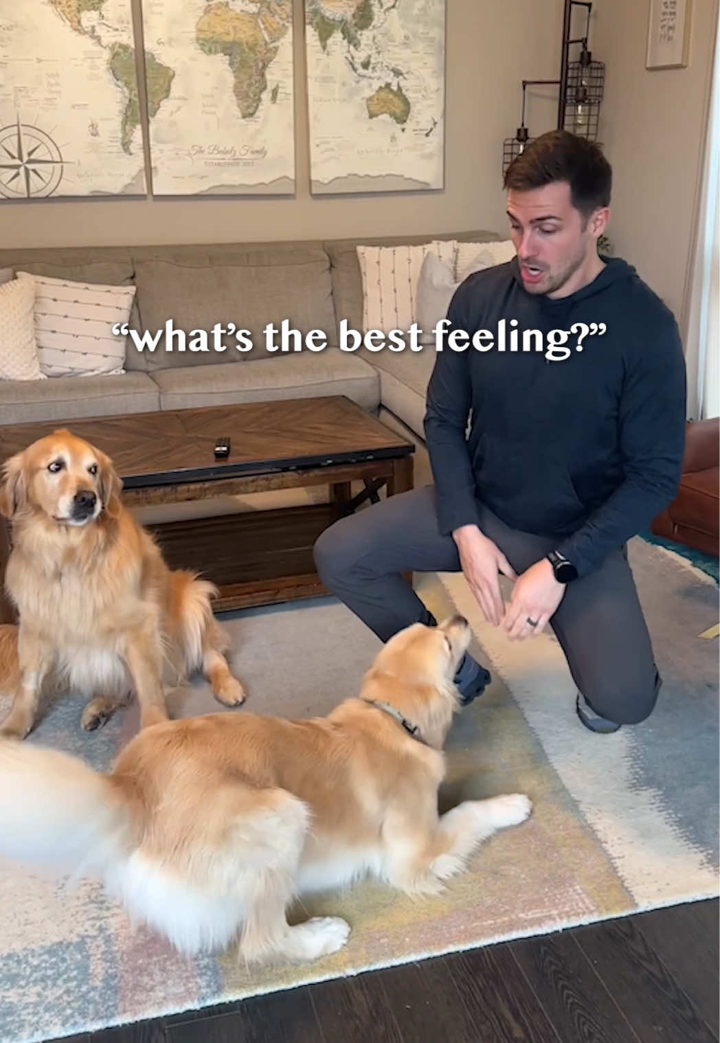 @Golden Retriever Life