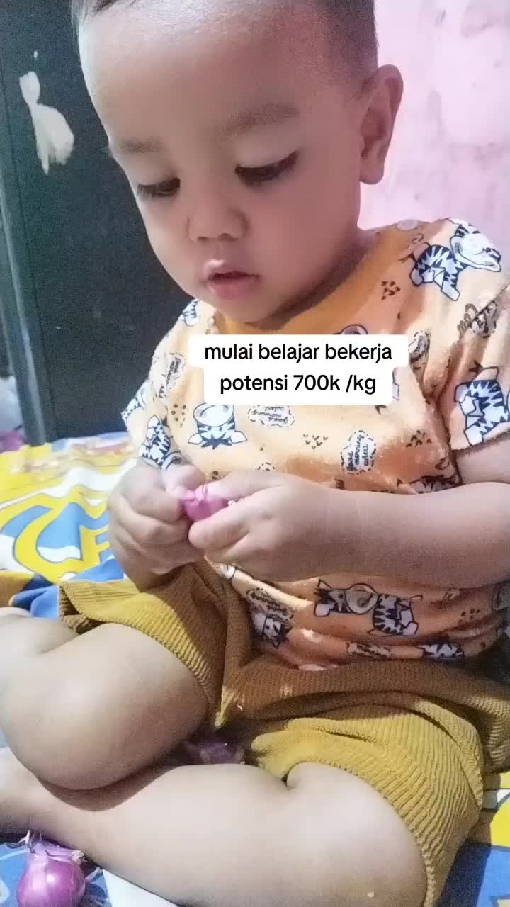 @Rayyan Bibit unggul
