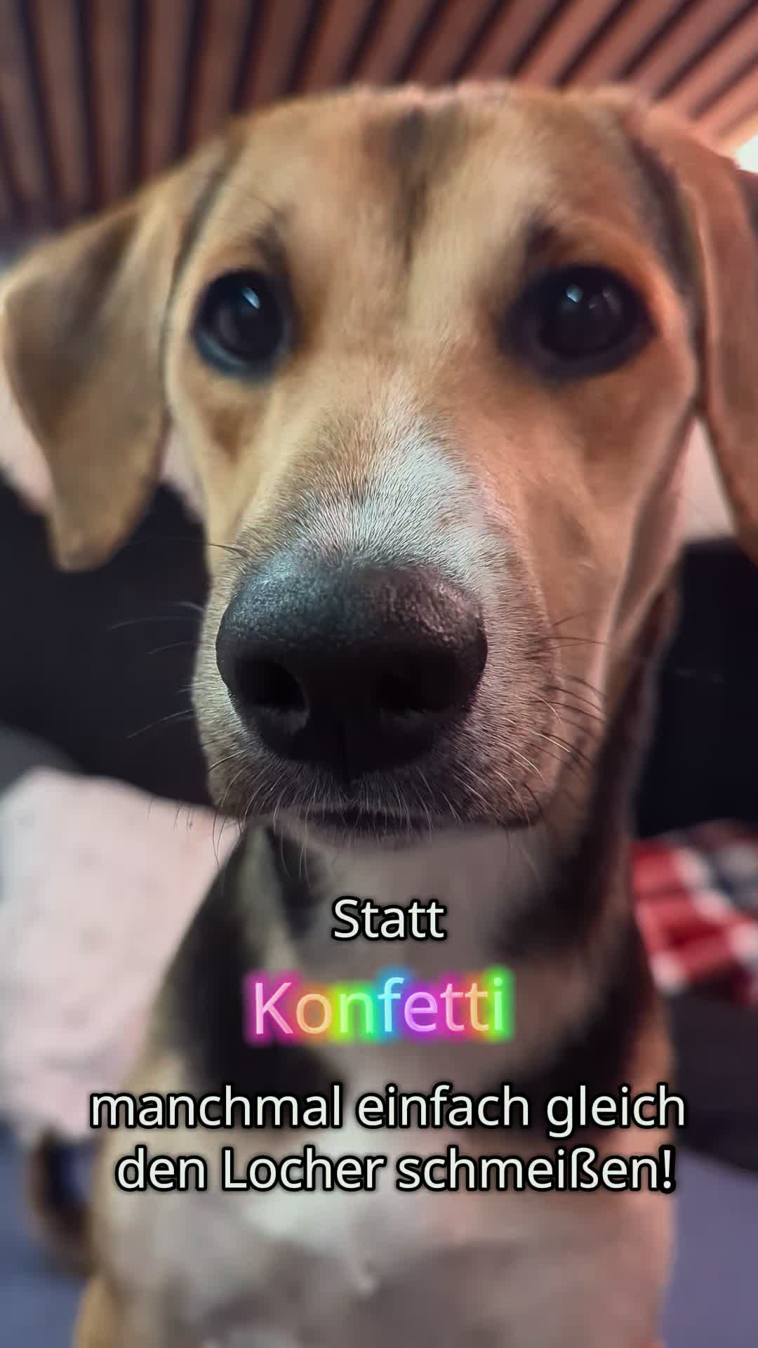@ꪑⅈꪶꪖ ꪑꪮꪀᥴꫝꫝⅈᥴꫝⅈ