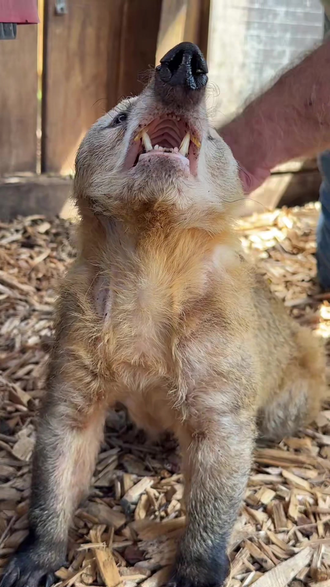 @Texas Wildlife Park