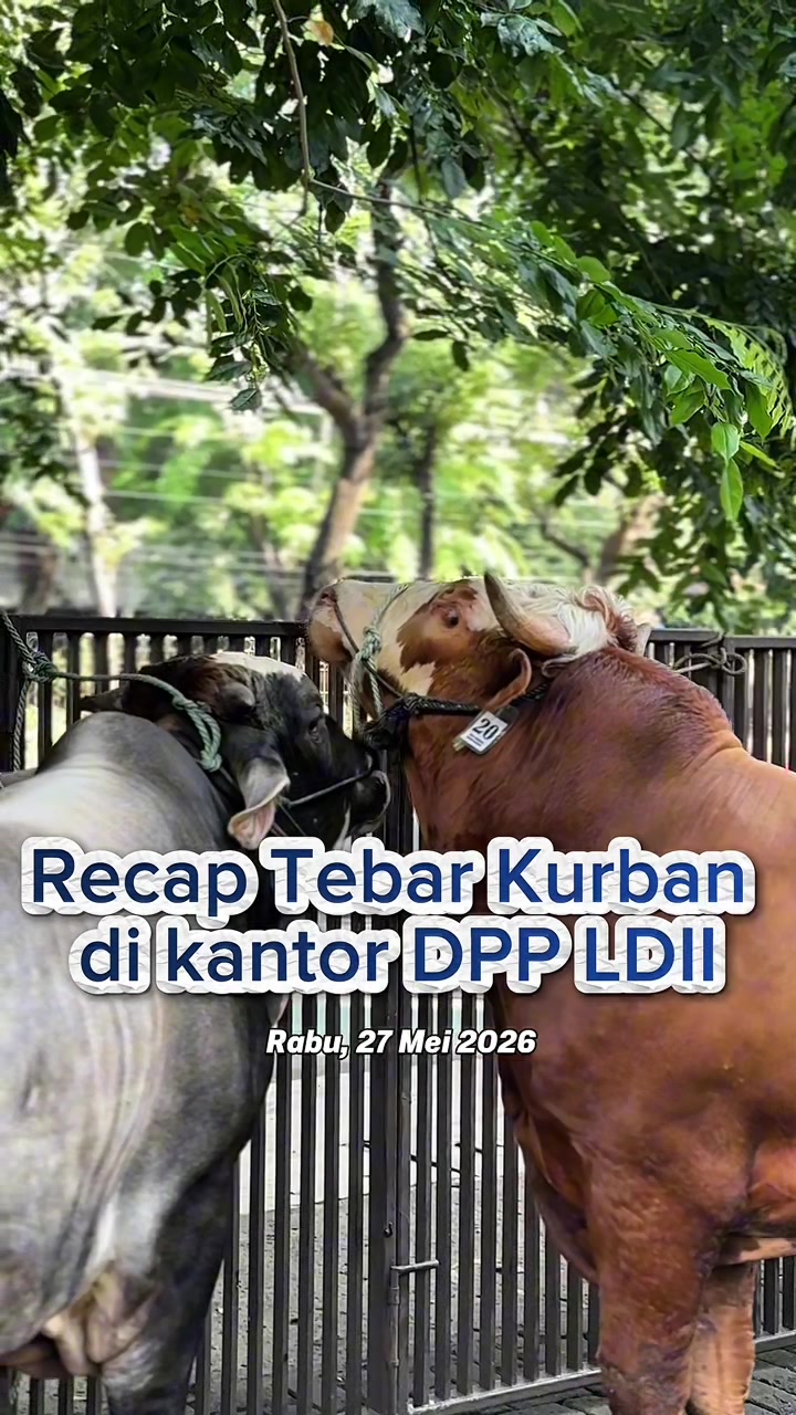 @ldii tv
