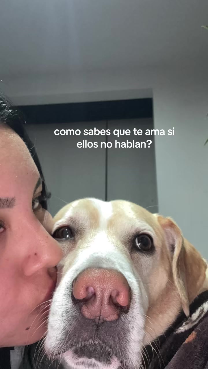 @zaleth haro