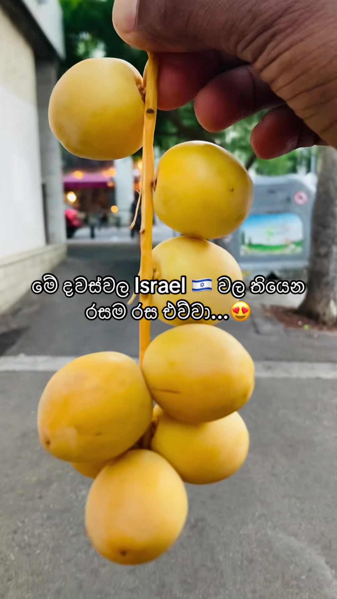 @♻️ Wicky Boy 🧿 🇮🇱✨