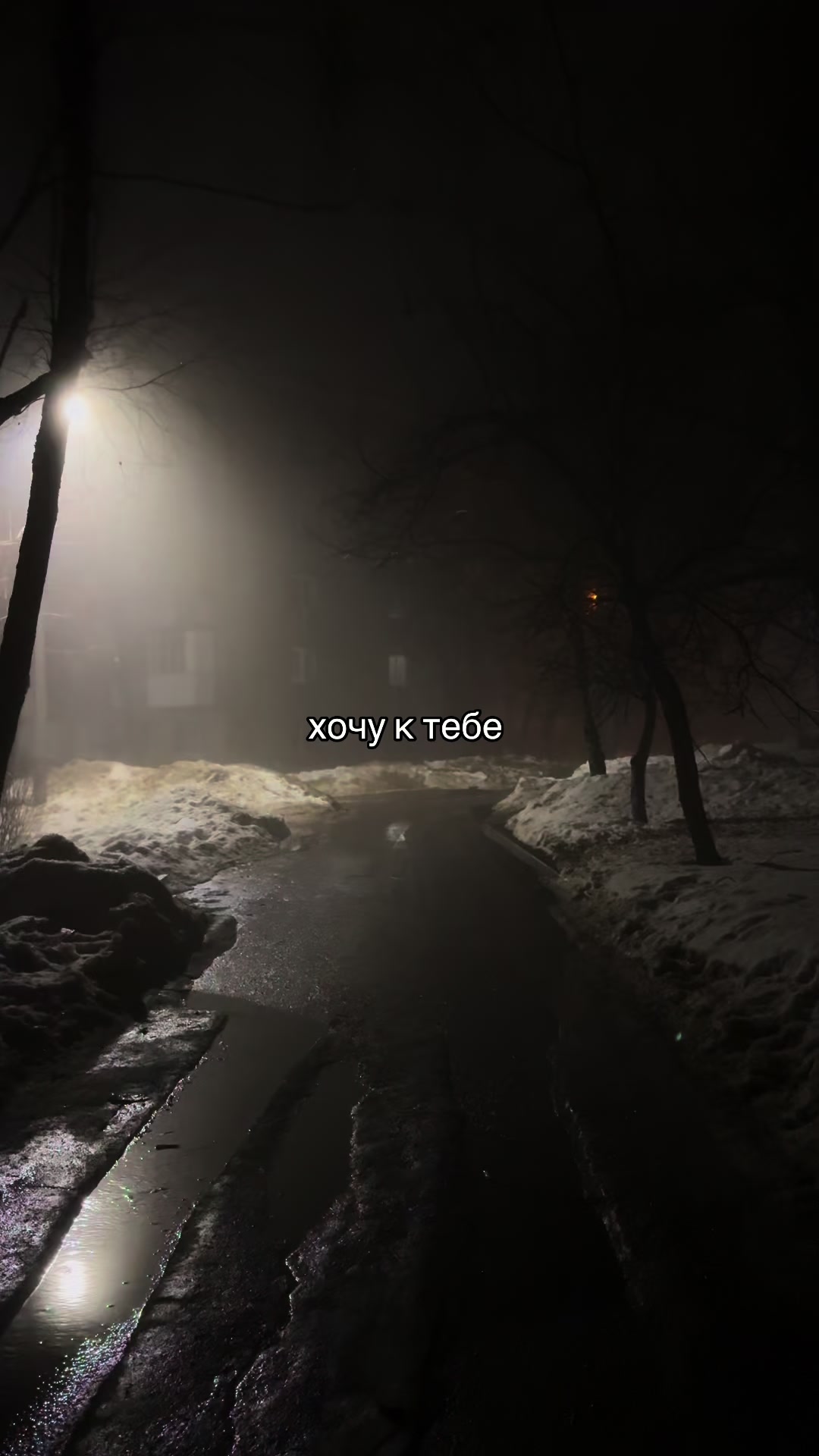 @zalu365