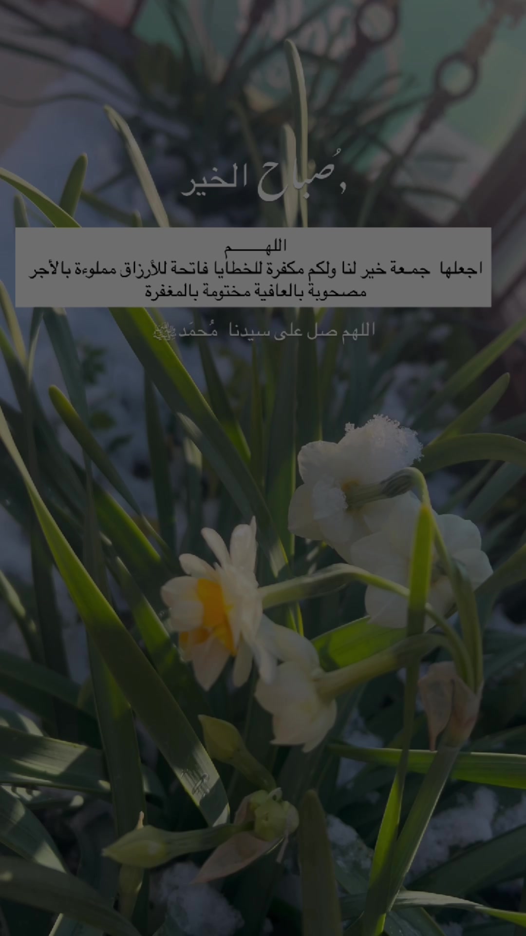 @لحظة الأمل 🫀🤍