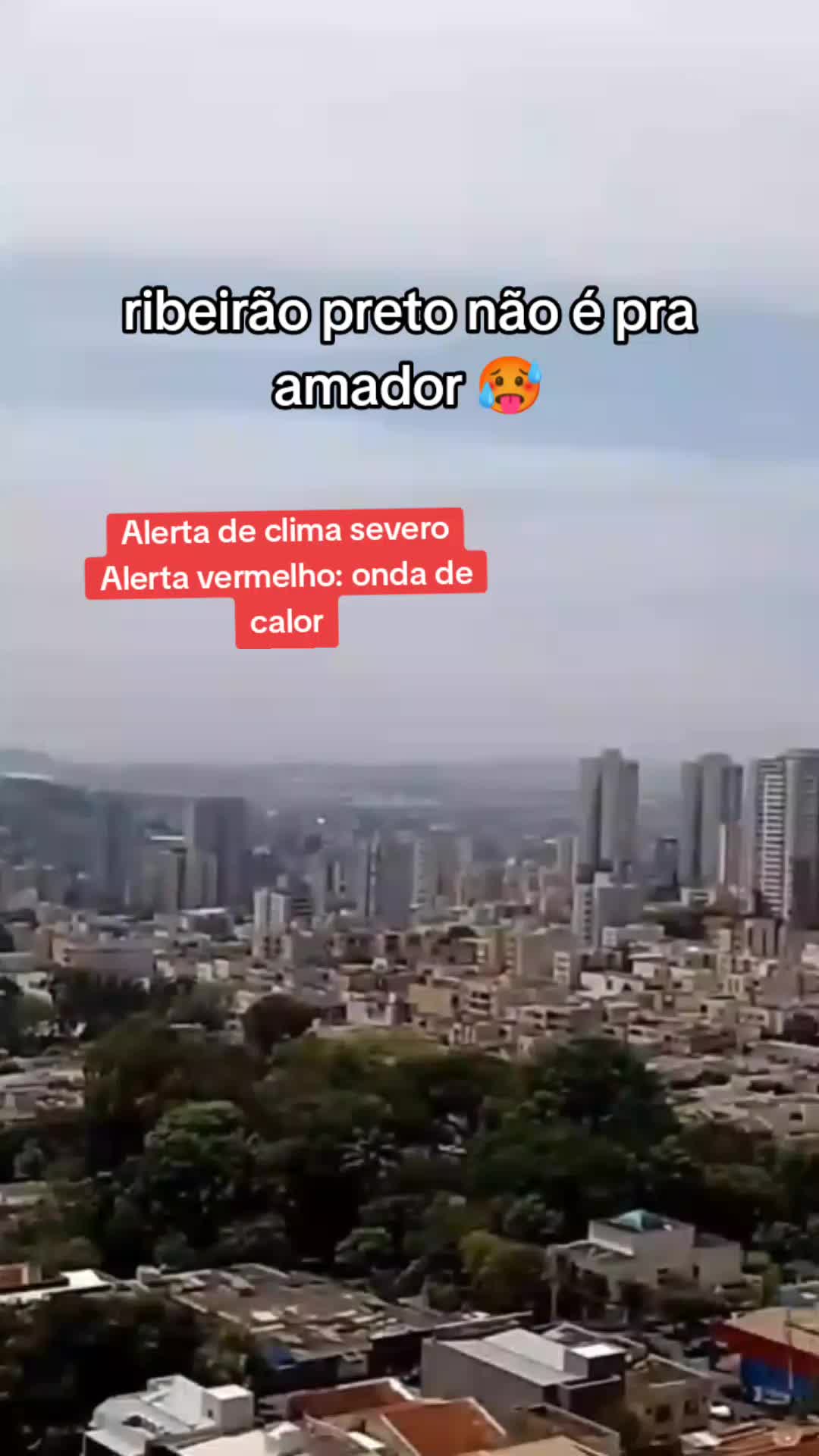 @luciana Marchiori