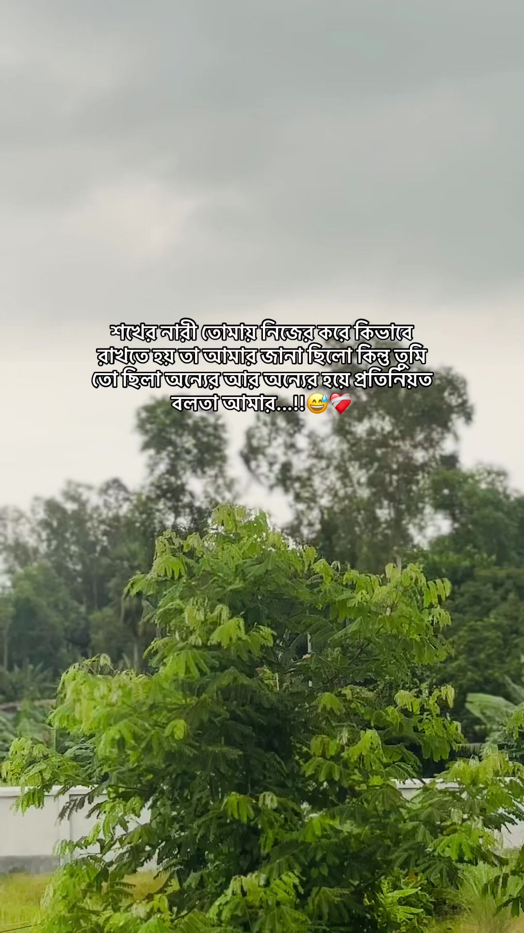 @S i F a T đ¸ī¸đī¸