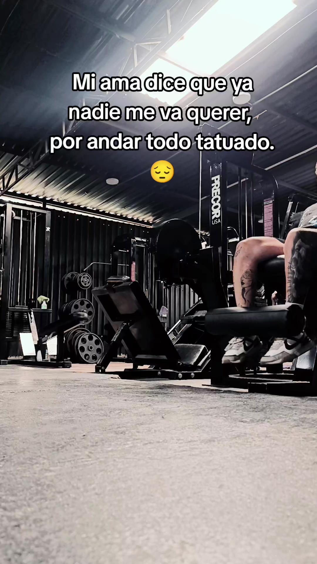 @Tavozdk