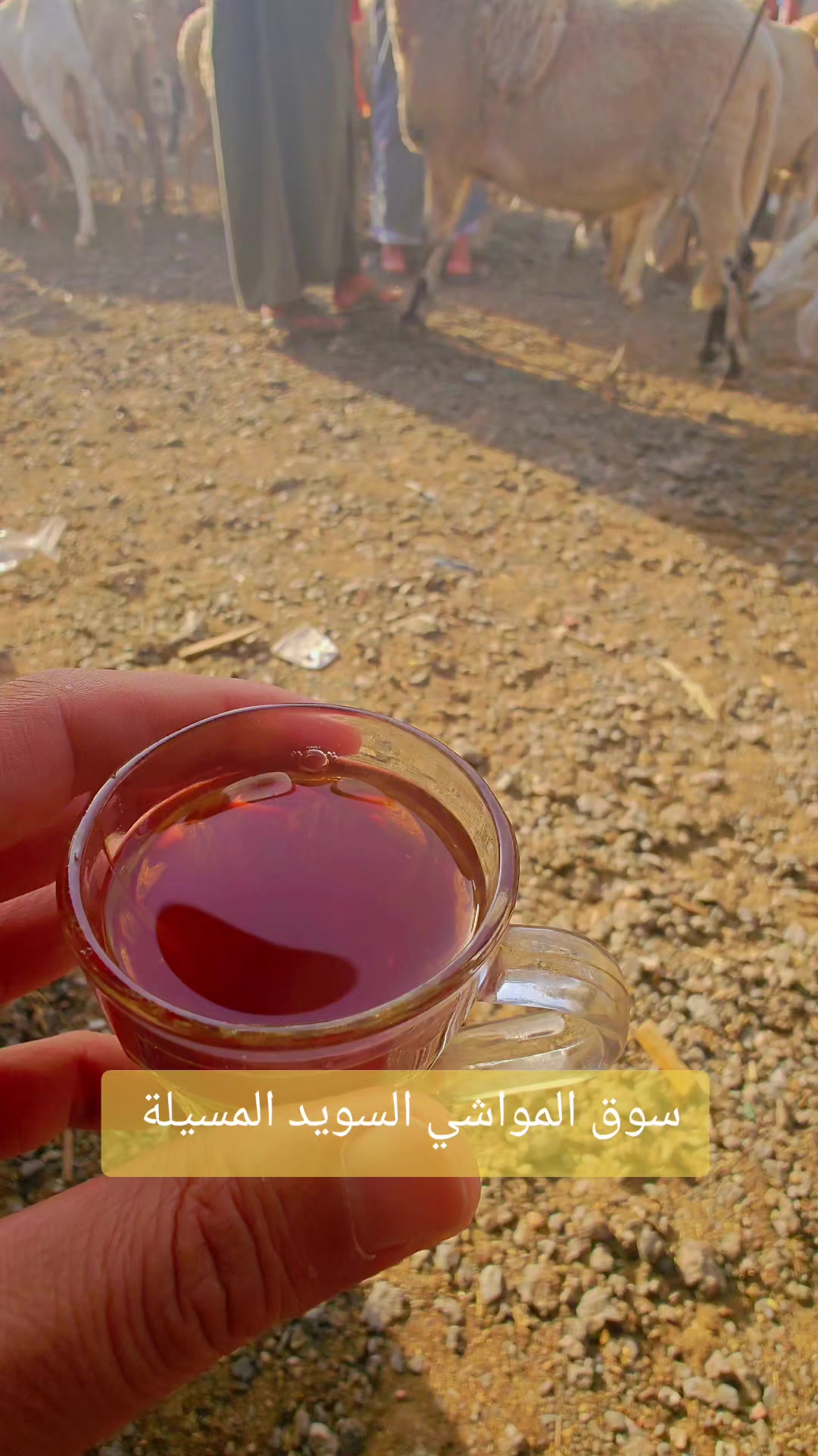 @الفلاحة في مسيلة