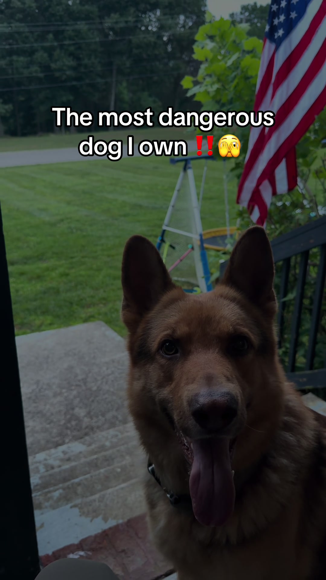 @🪶TheN8tiveDogfather🐾