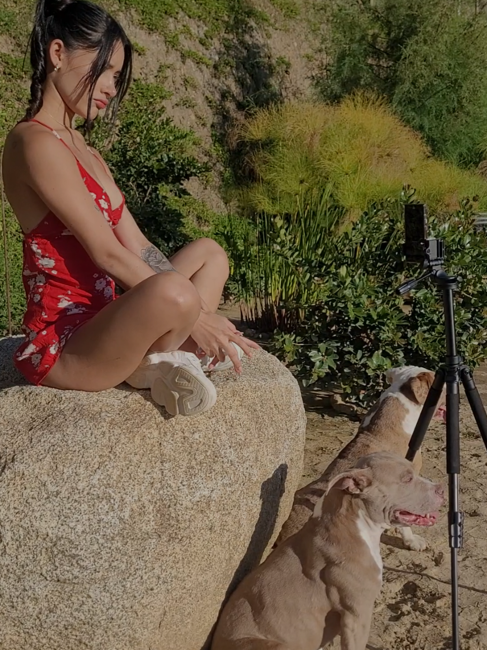 @Carolina guerrero