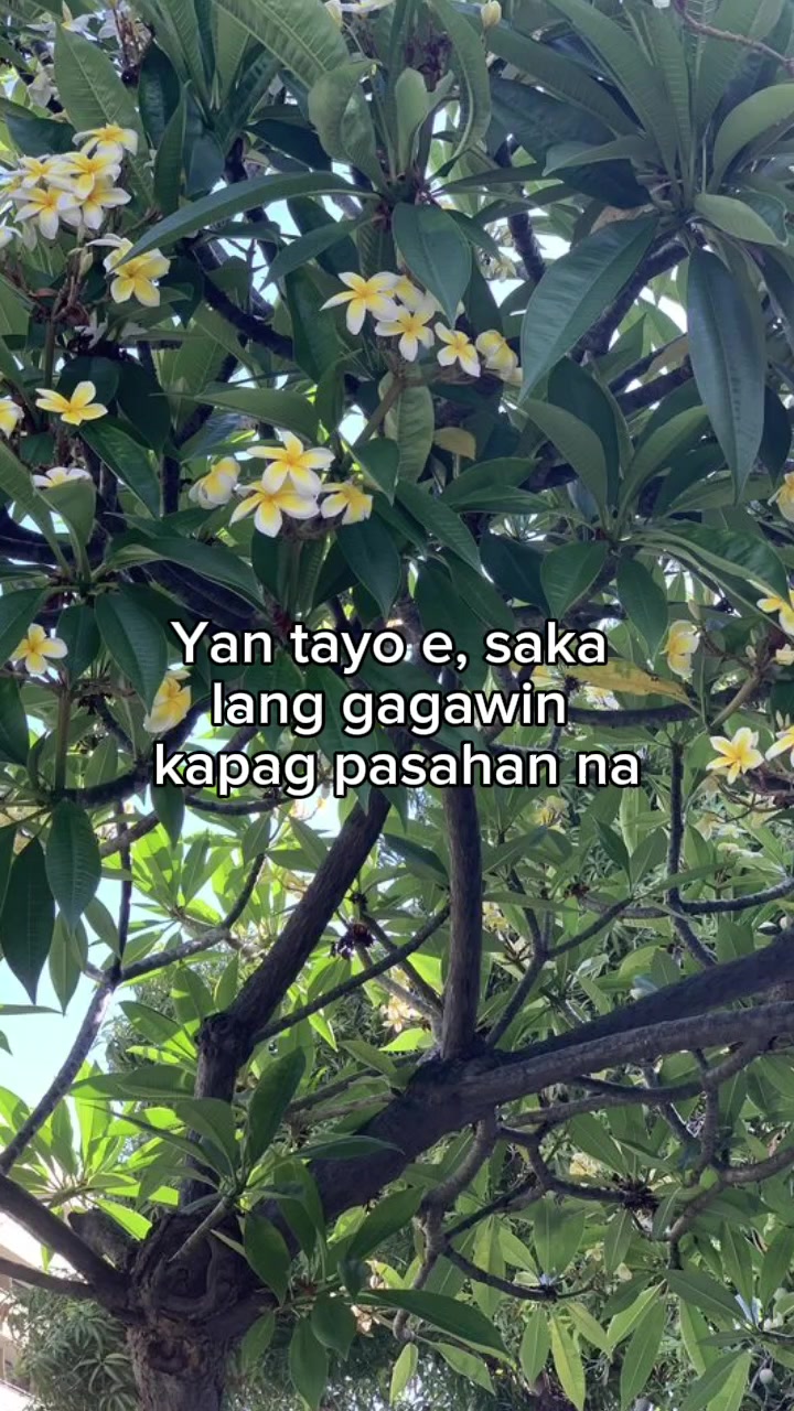 @🛴araaa